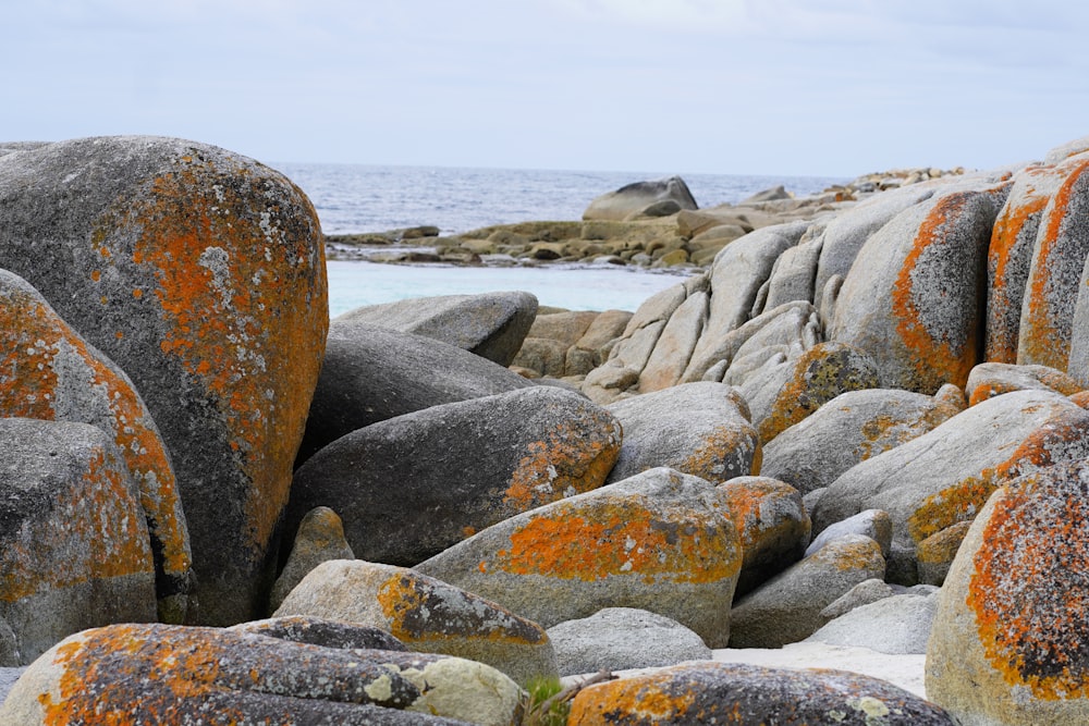 a bunch of rocks that are by the water