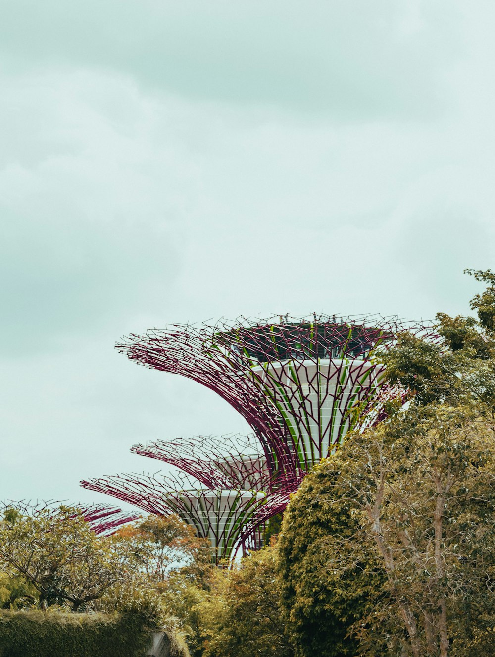 a group of trees that are next to each other