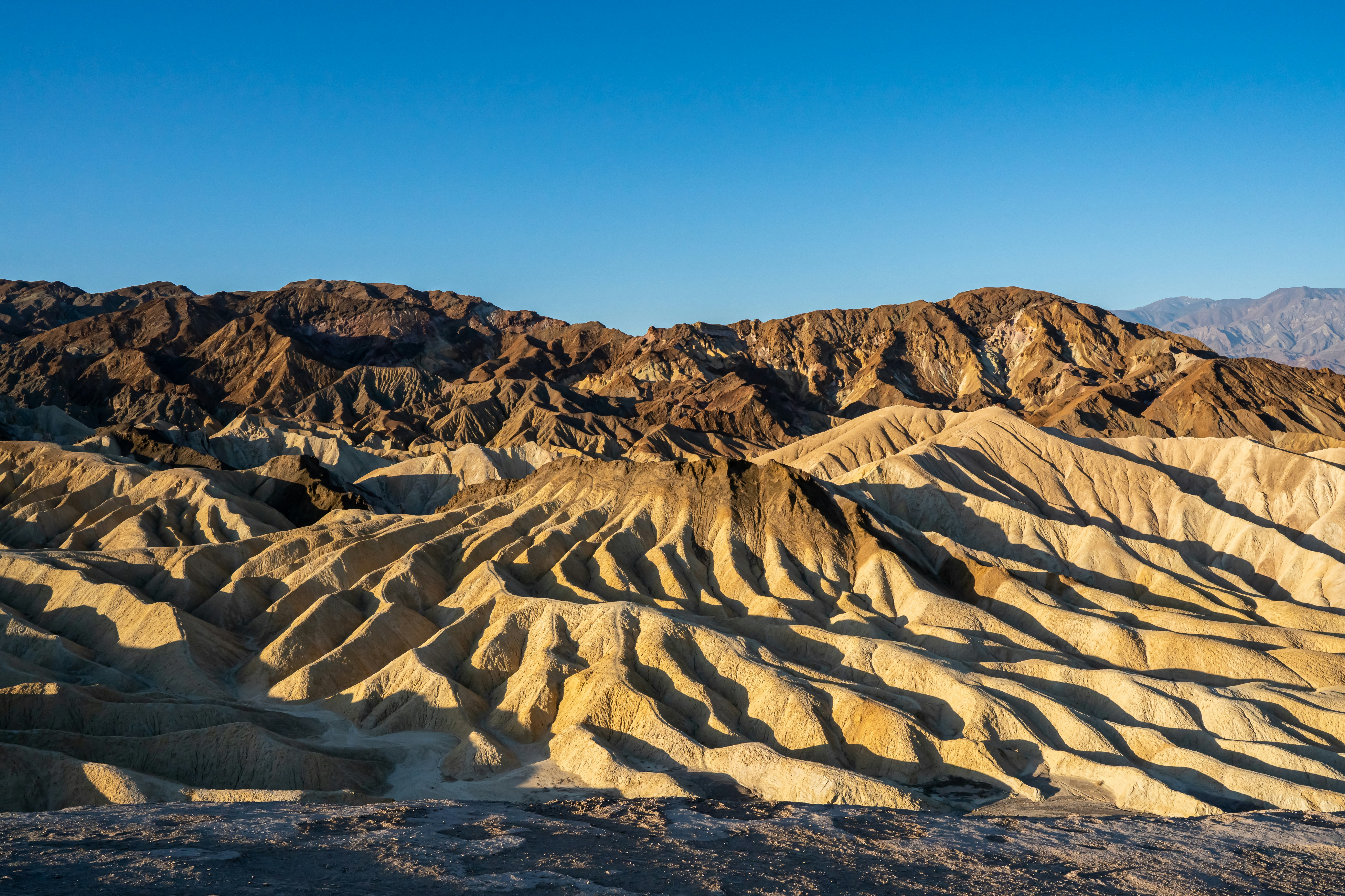 Photo by fortuitousfoto