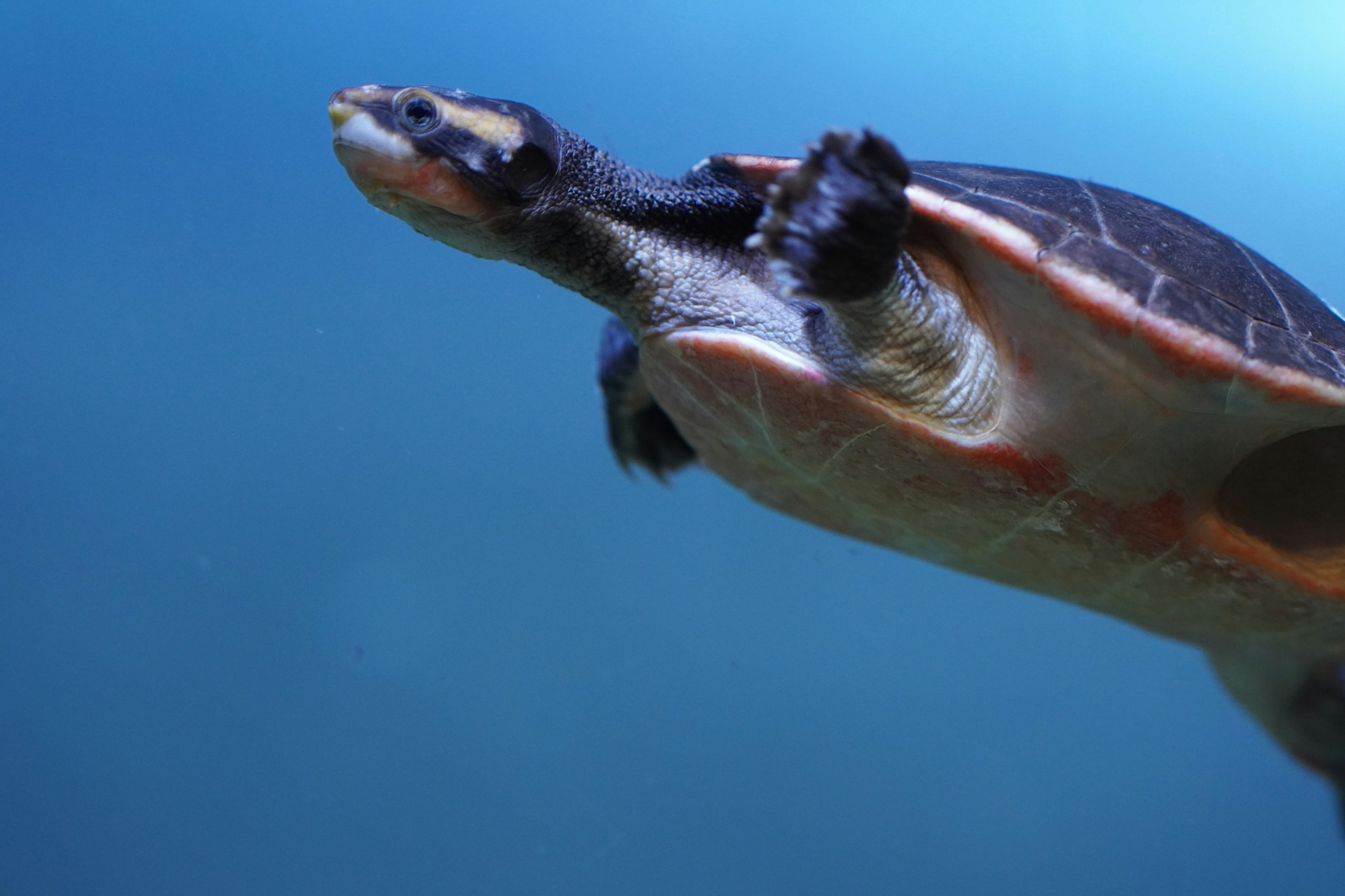 Photo by entitystudioau