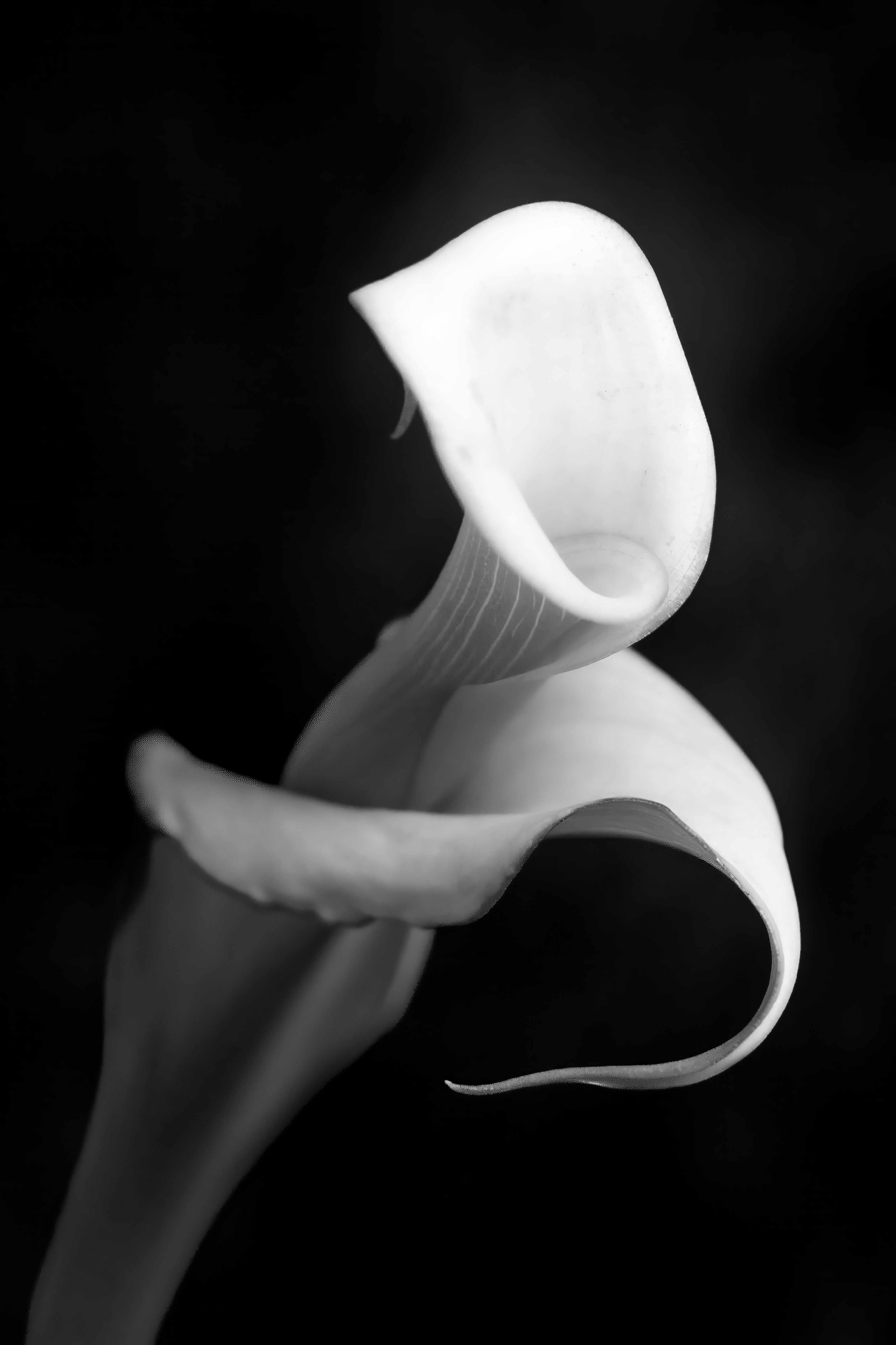 Photo by photosbyrachelo