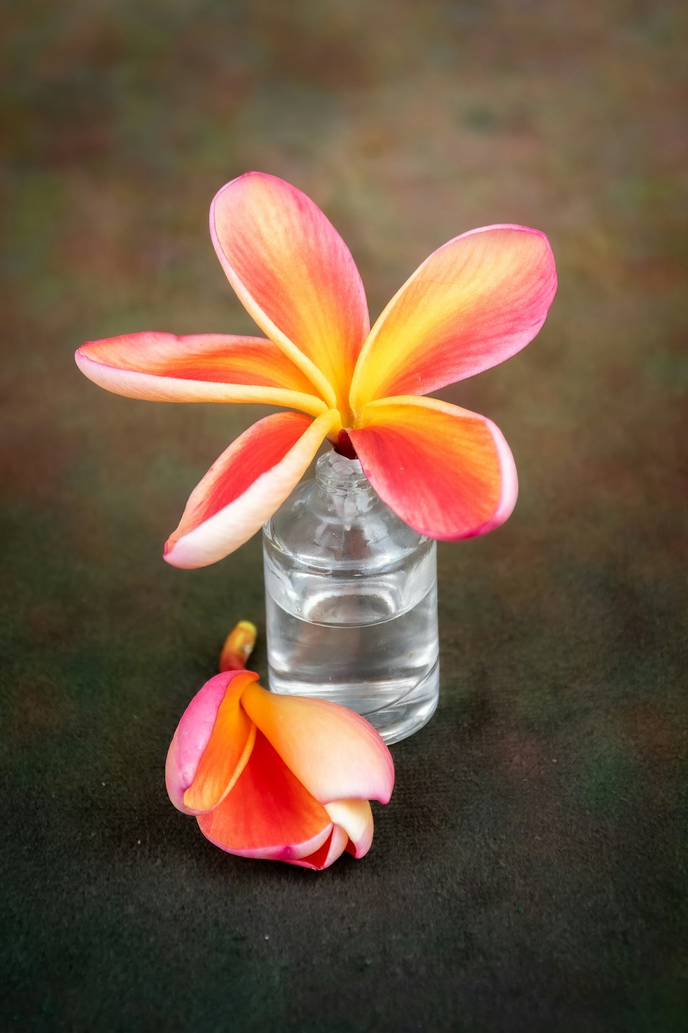 a small glass vase with a flower in it