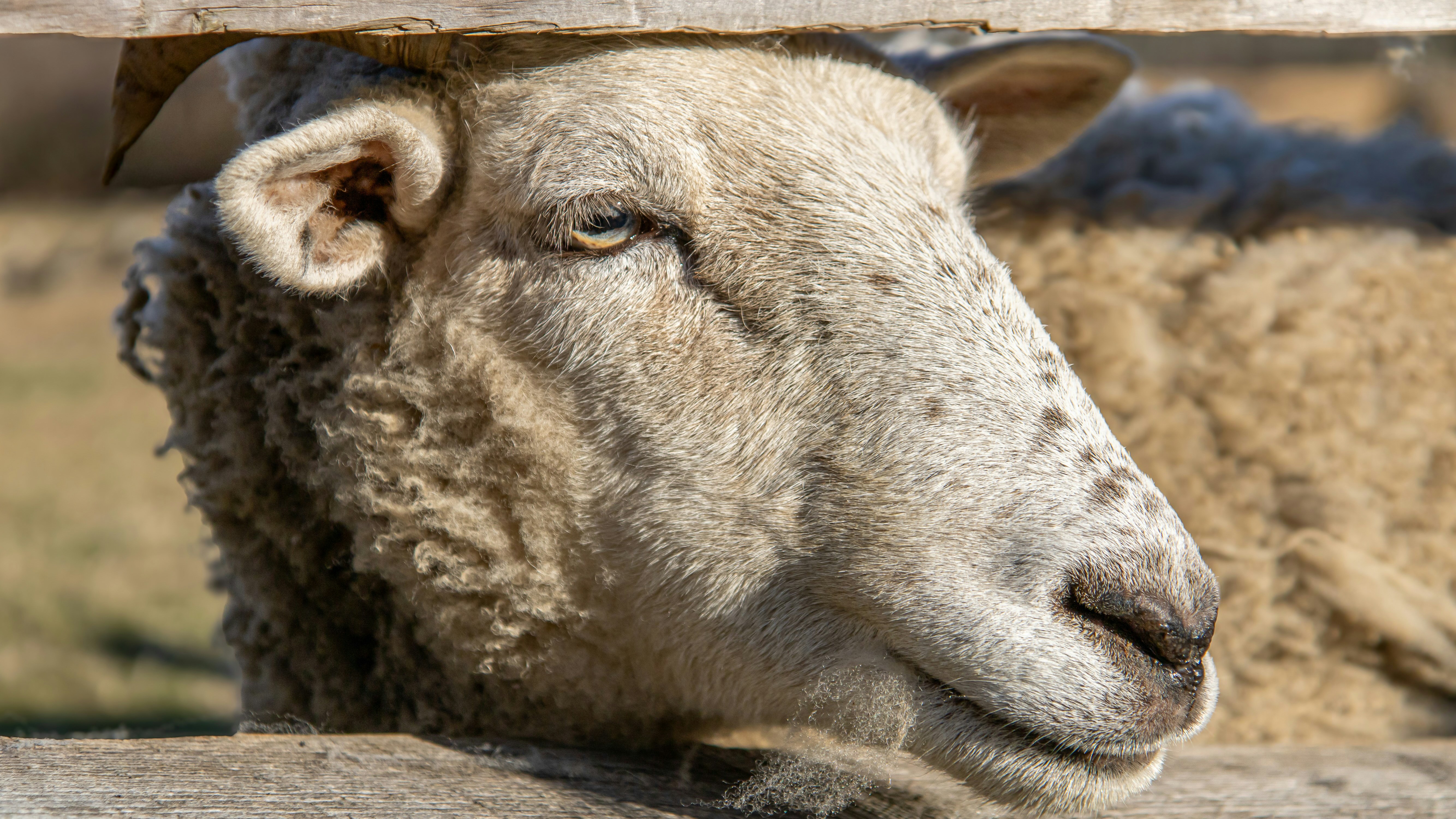 Photo by peterbbryan