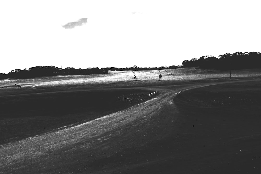 a black and white photo of a dirt road