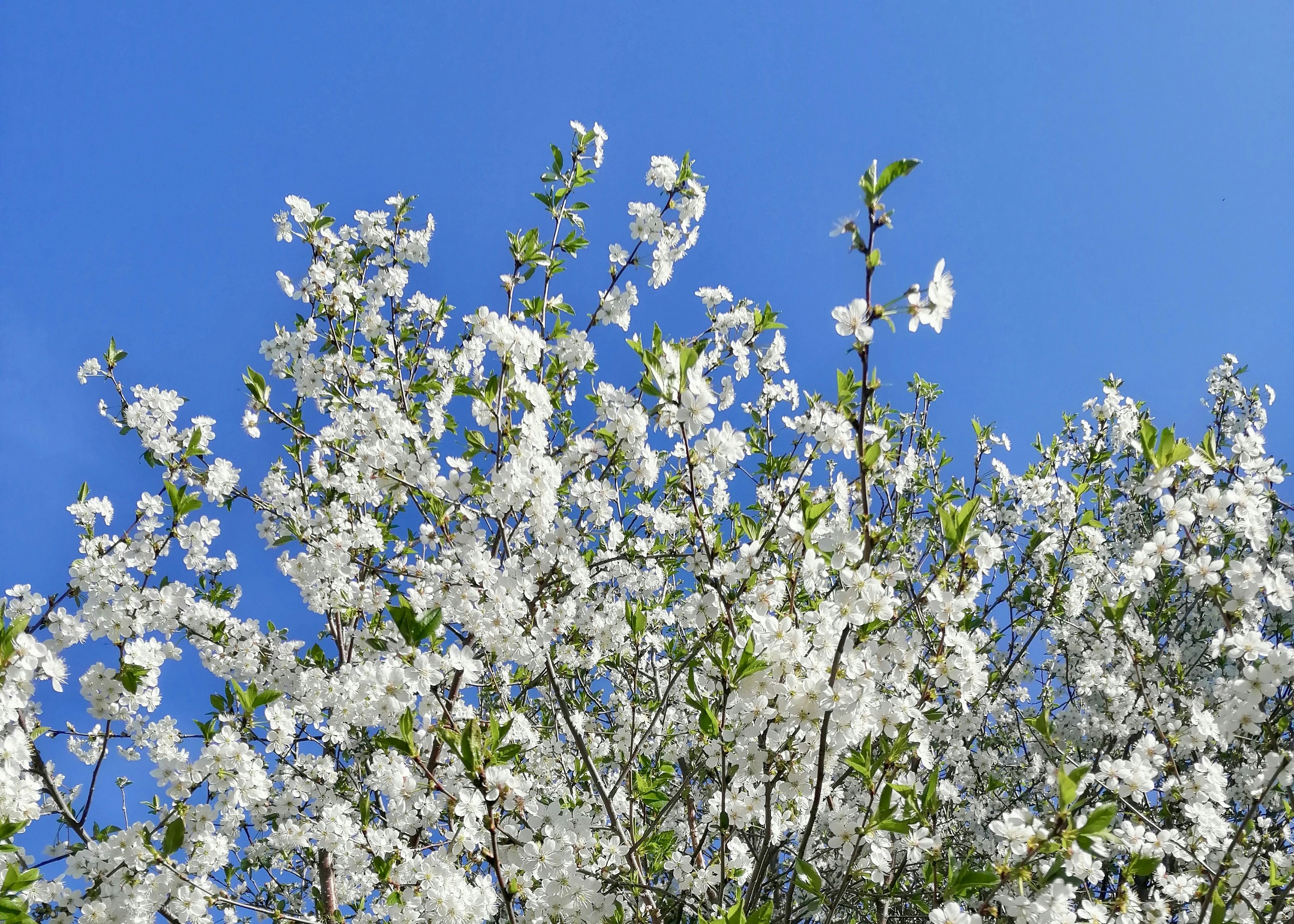 Photo by katrin_bloom