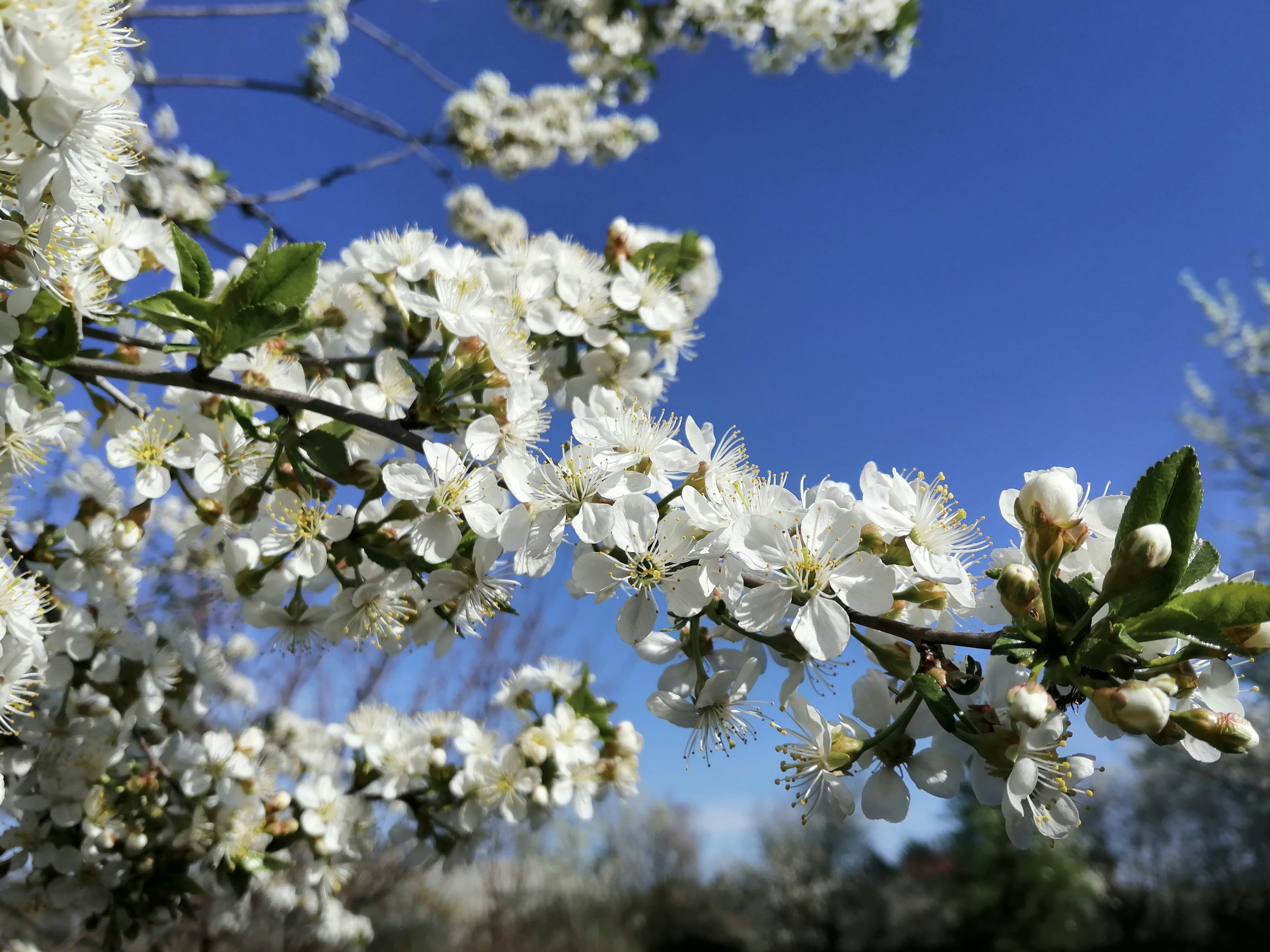 Photo by katrin_bloom