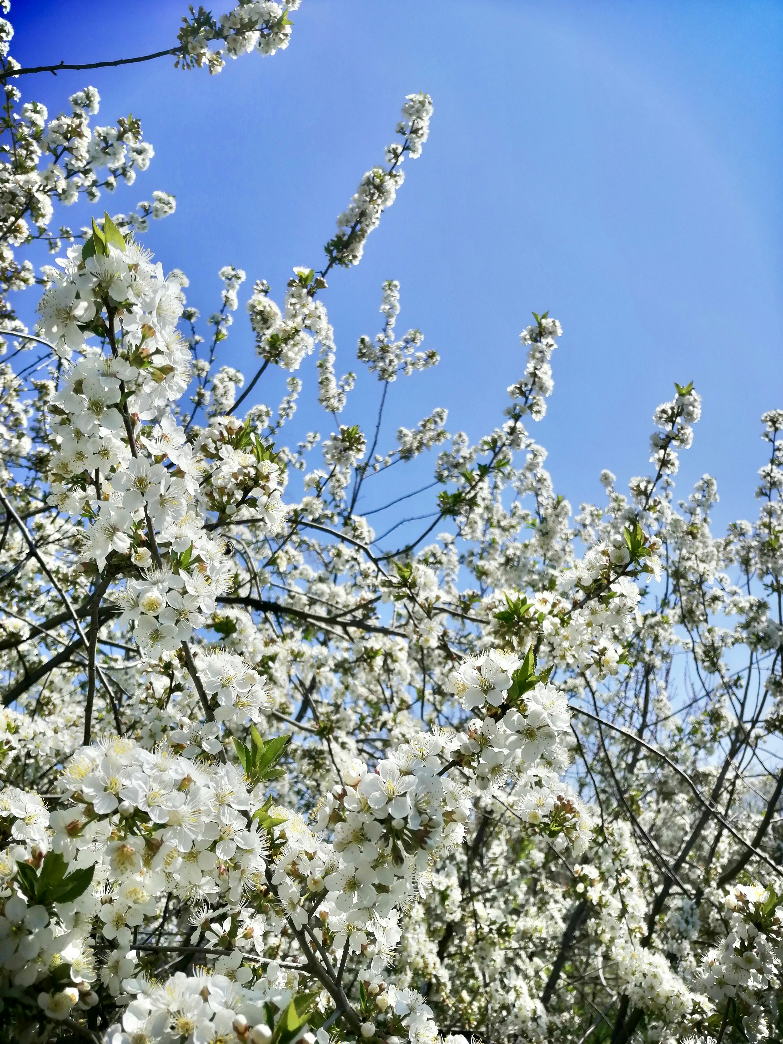 Photo by katrin_bloom