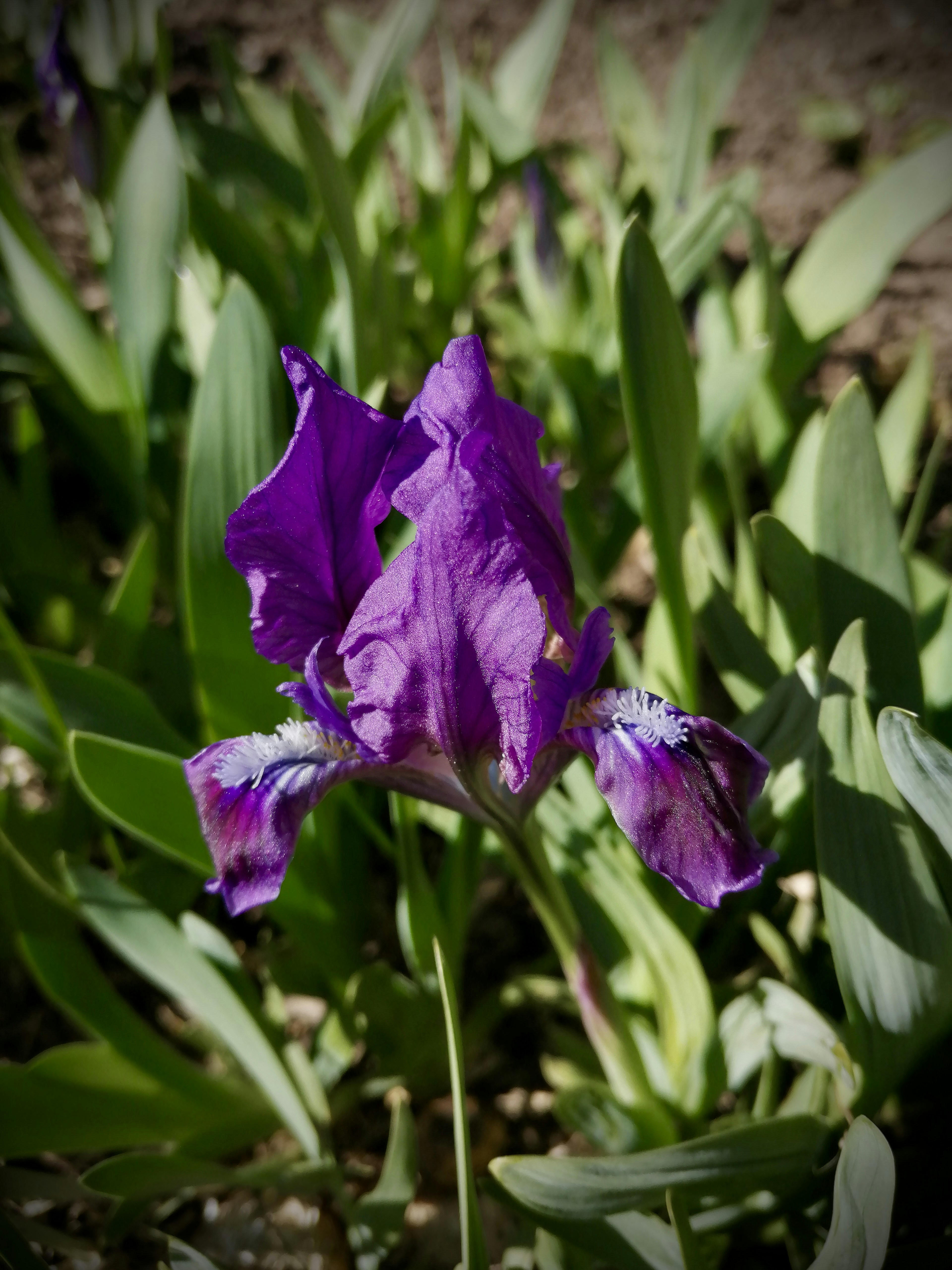 Photo by katrin_bloom