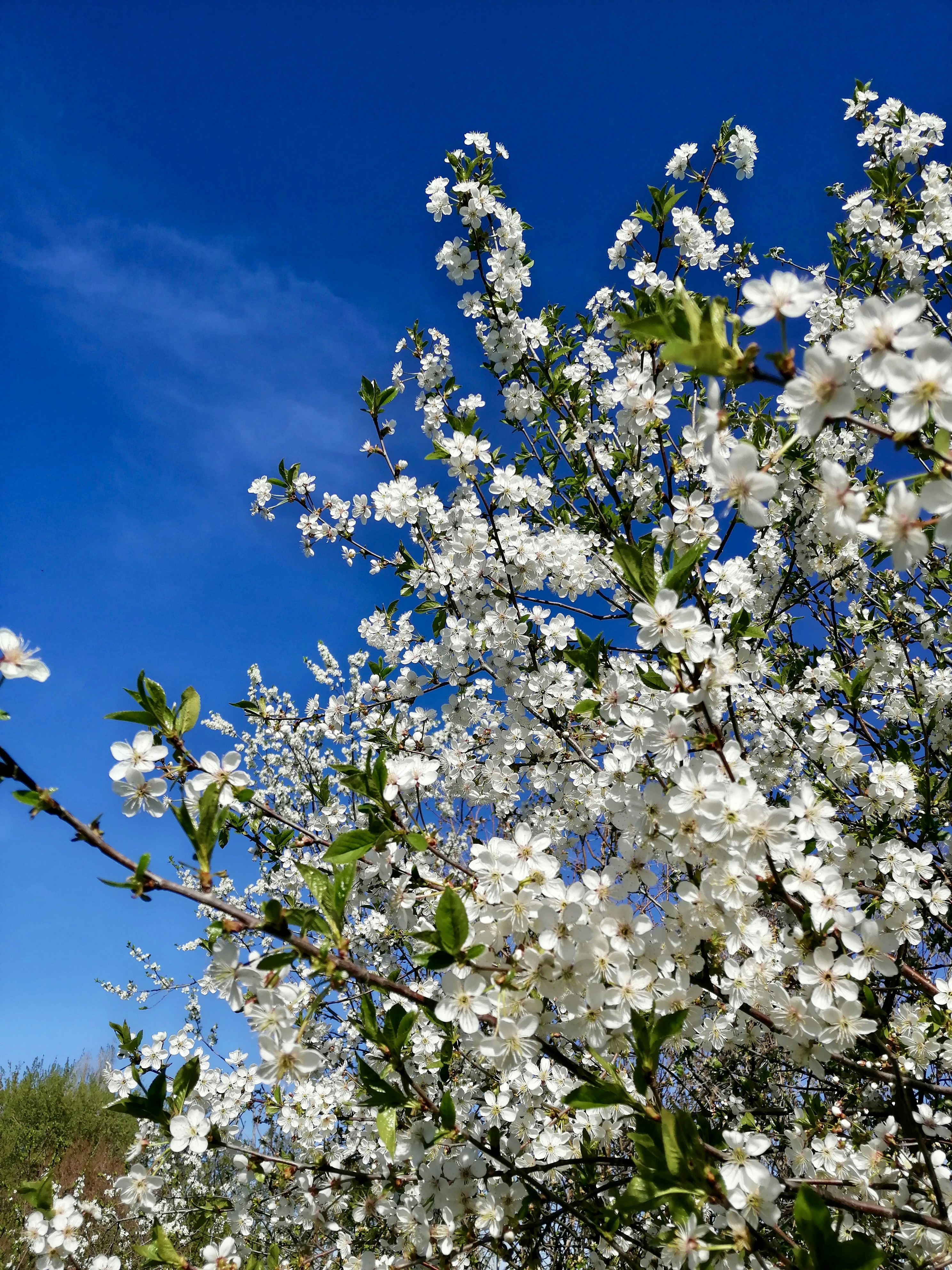 Photo by katrin_bloom