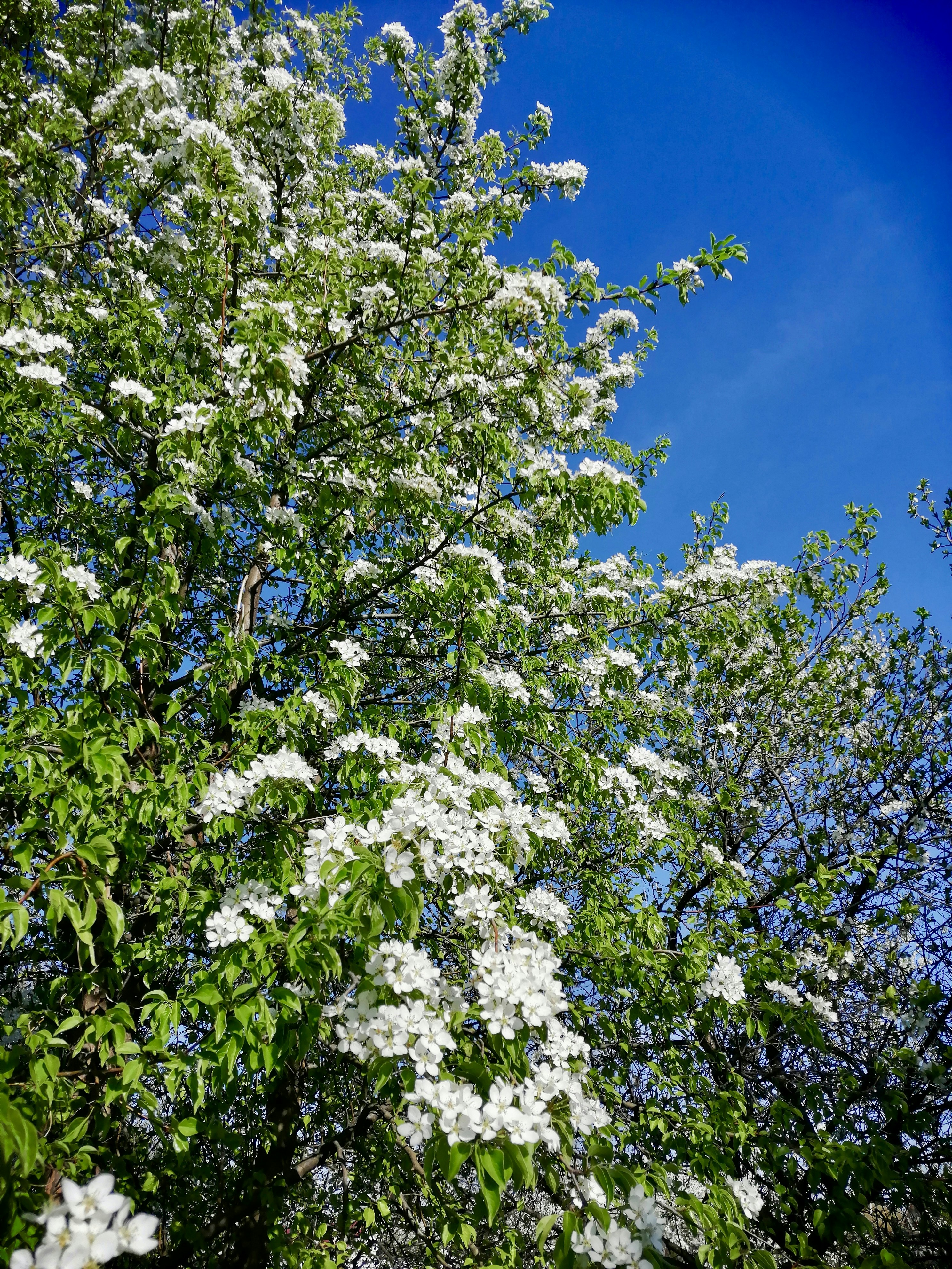 Photo by katrin_bloom