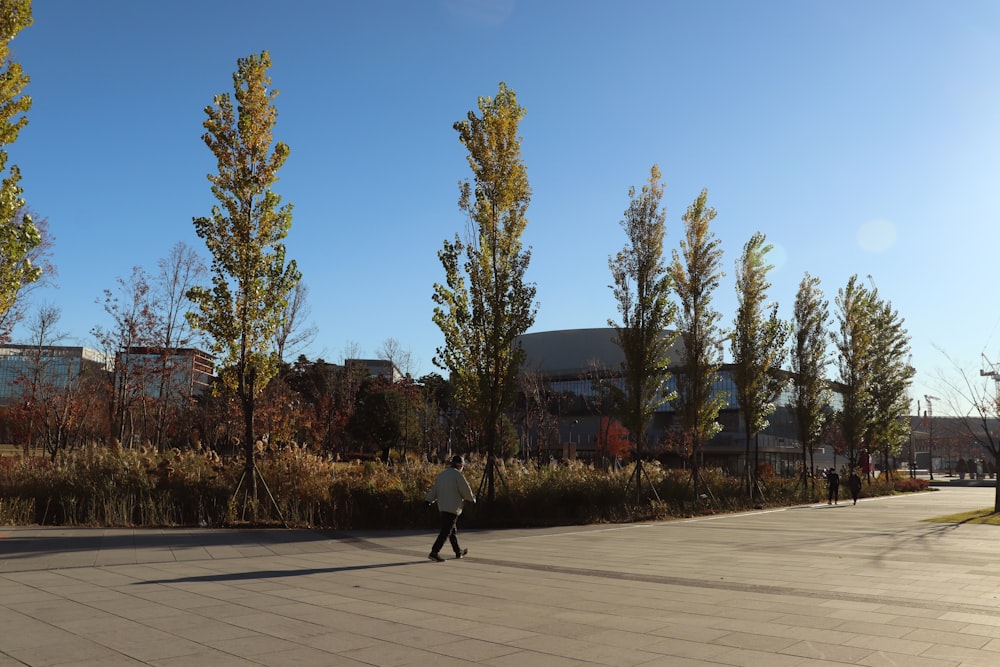 a person walking down a sidewalk next to tall trees