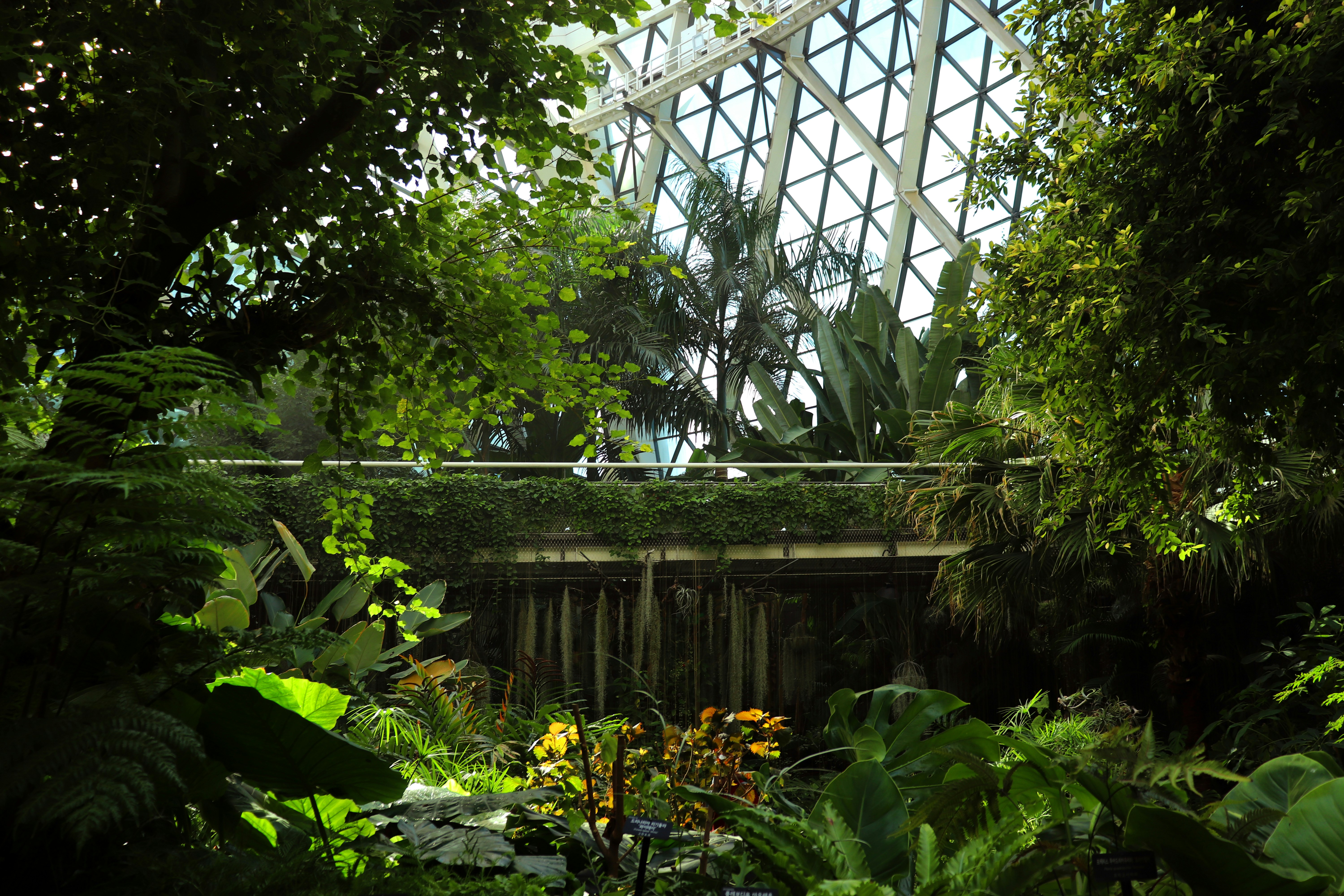 Photo by desinger_sun