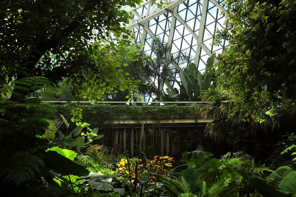 a building with a glass roof surrounded by greenery