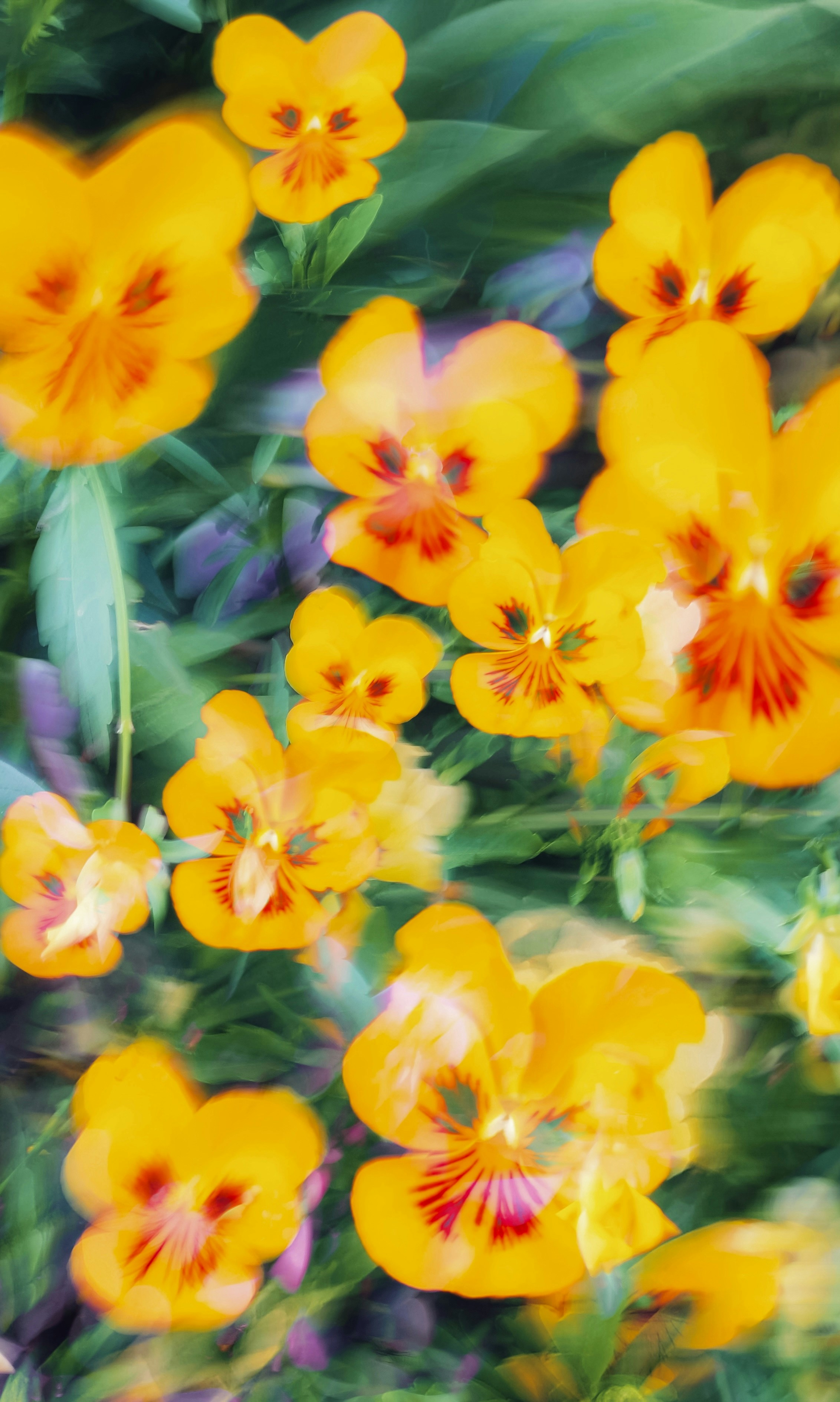 Photo by eugene_golovesov