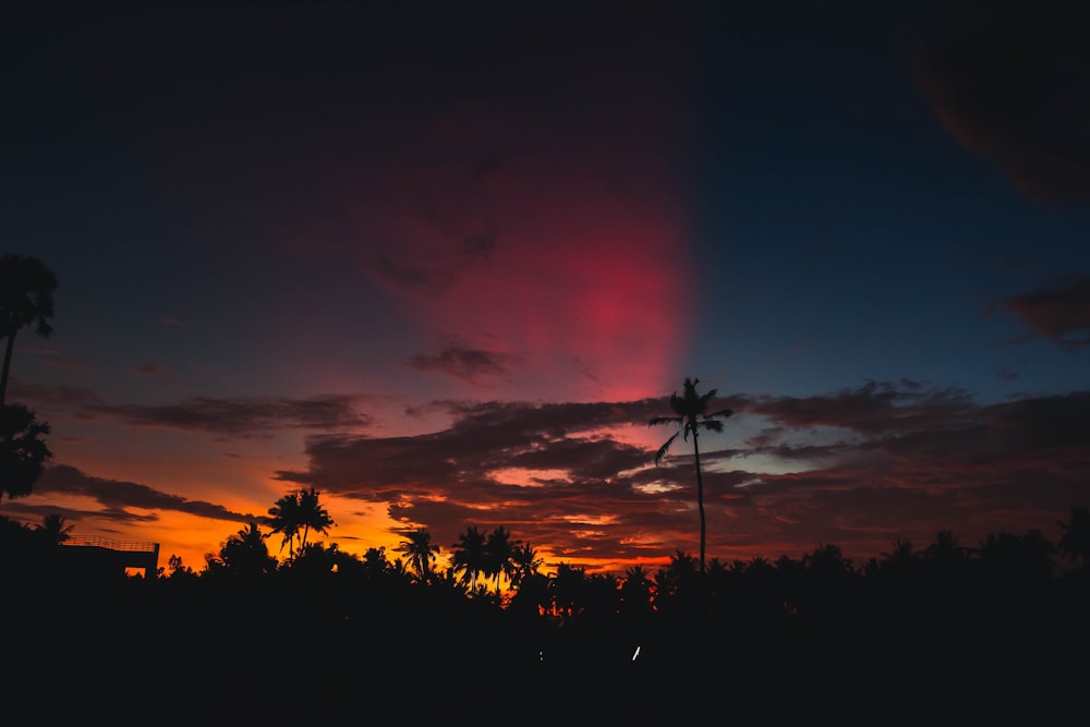 ein Sonnenuntergang mit Palmen im Vordergrund