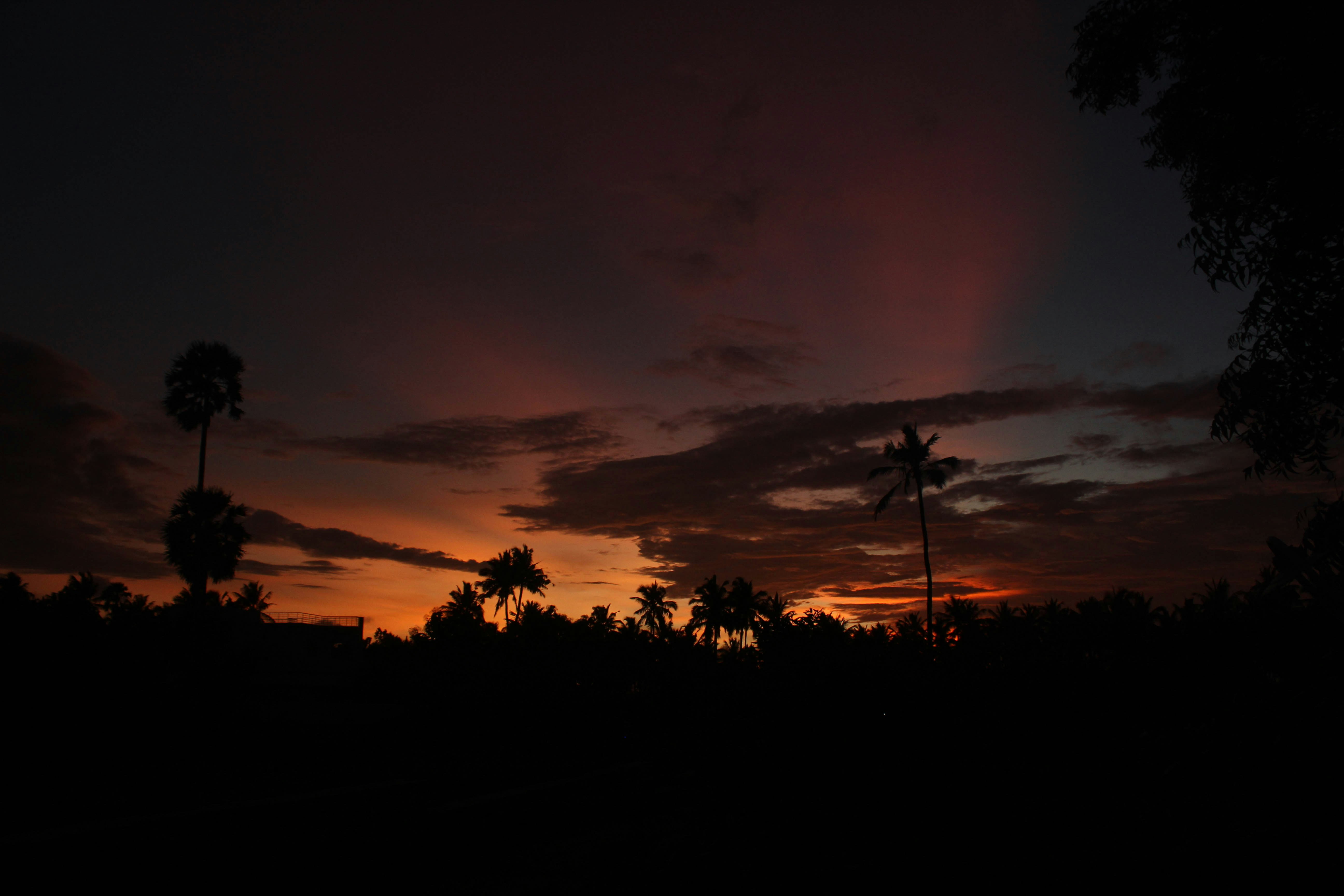 Photo by linsartistry