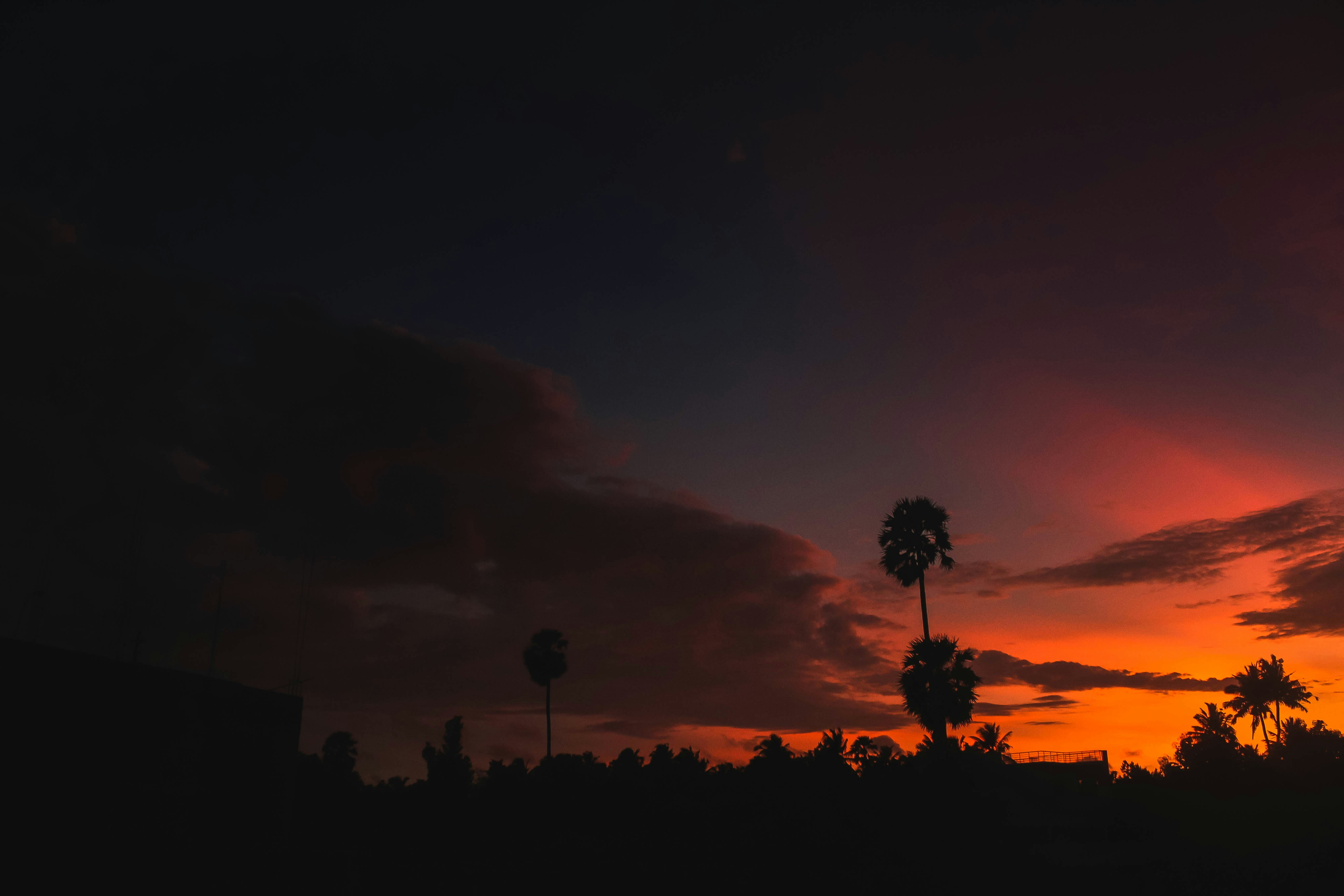 Photo by linsartistry