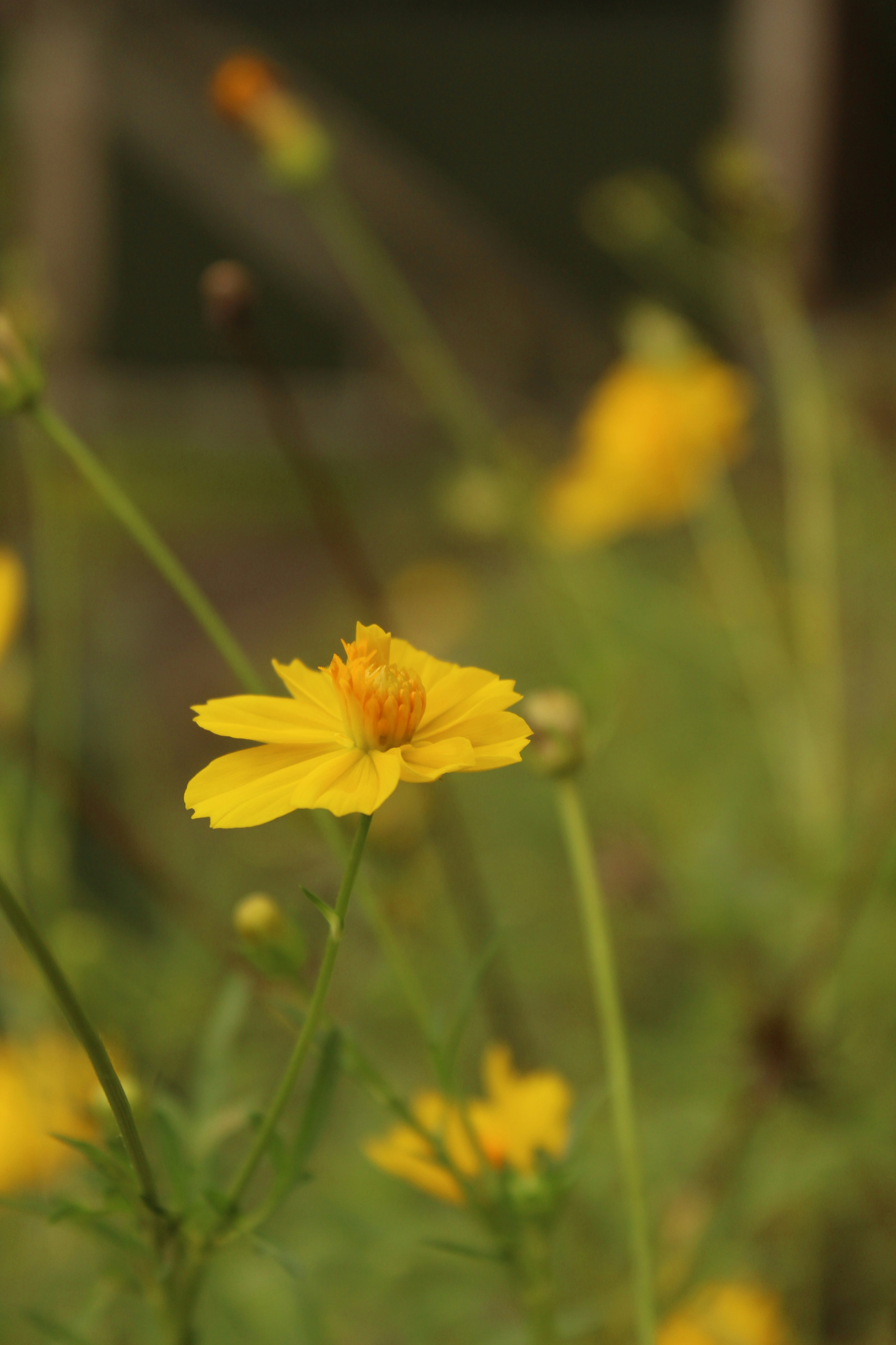 Photo by linsartistry