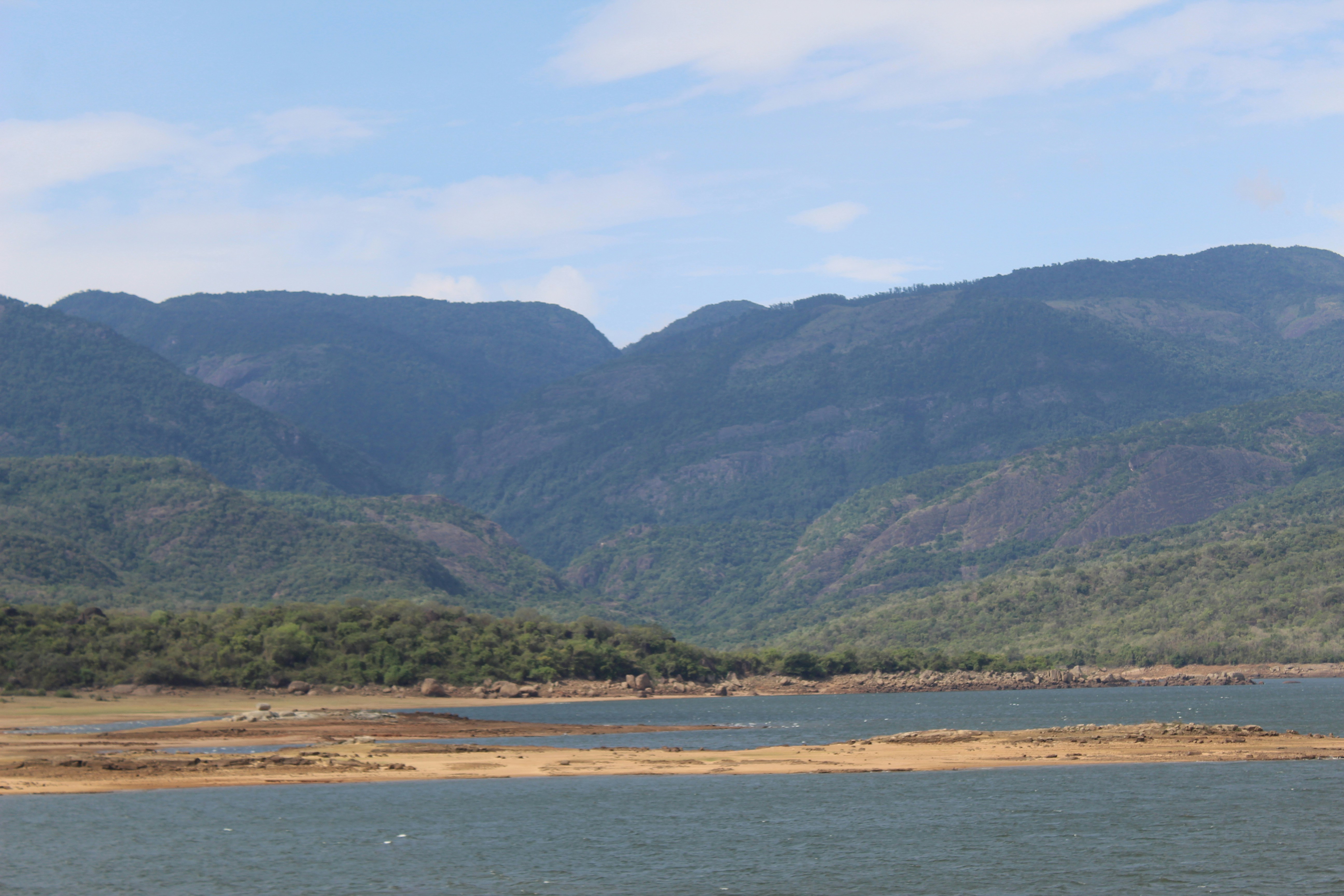 Photo by linsartistry