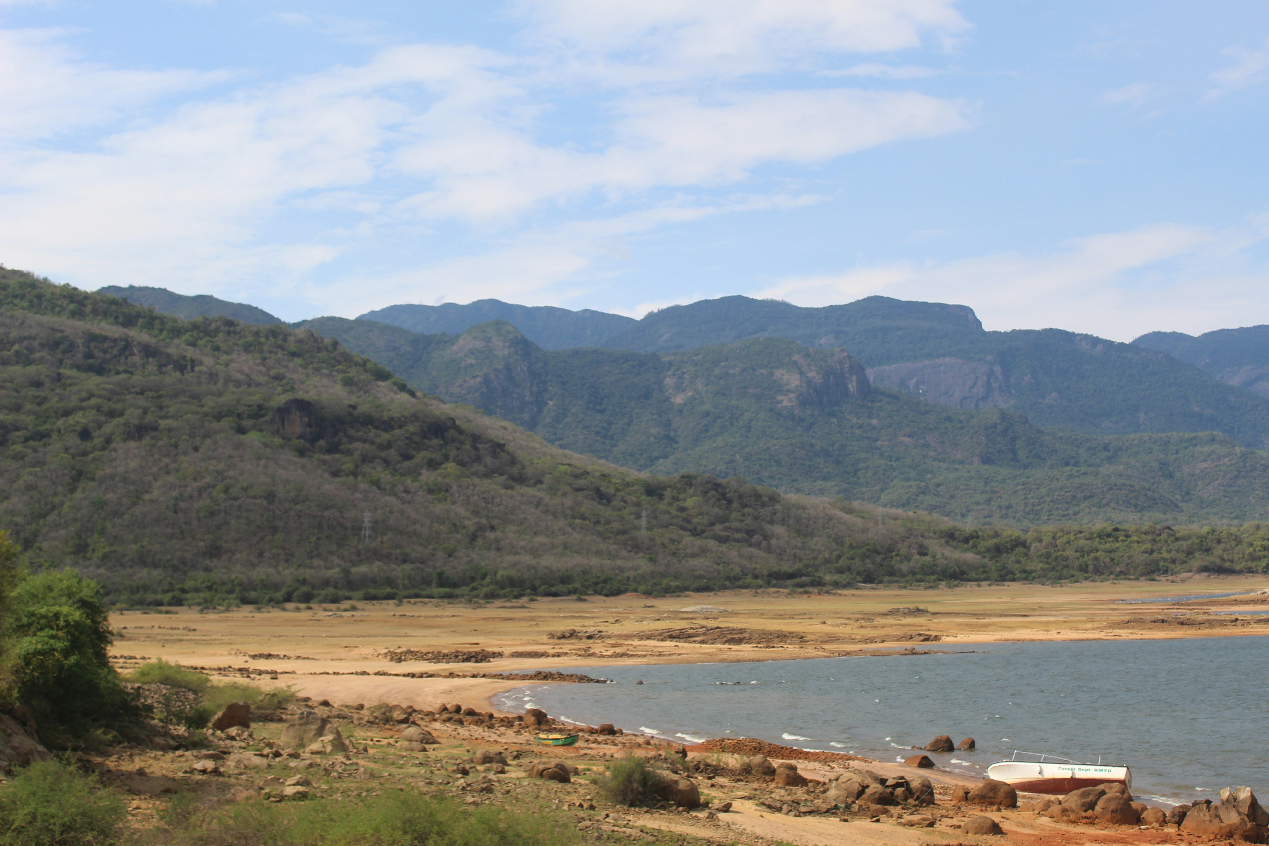 Photo by linsartistry