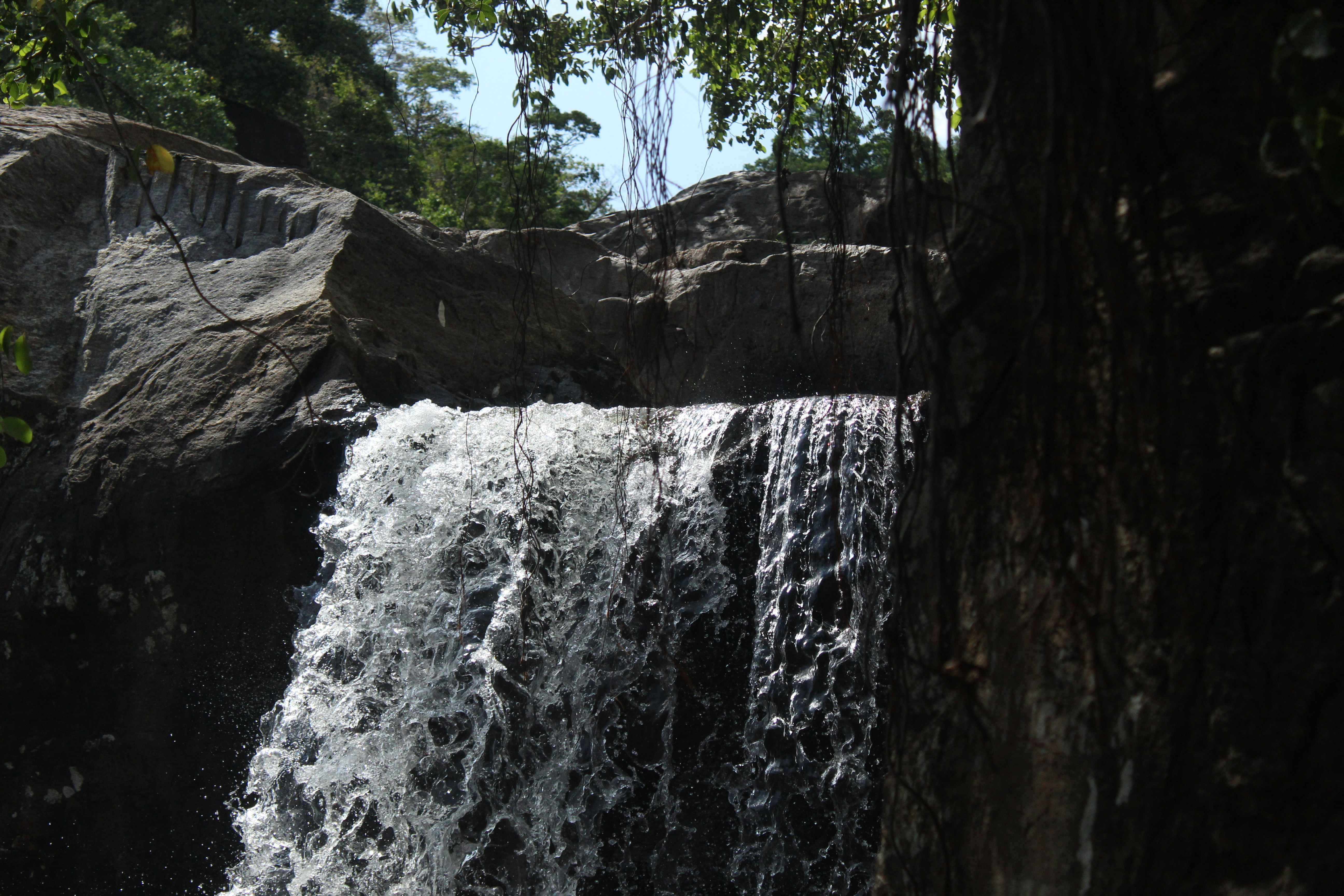 Photo by linsartistry