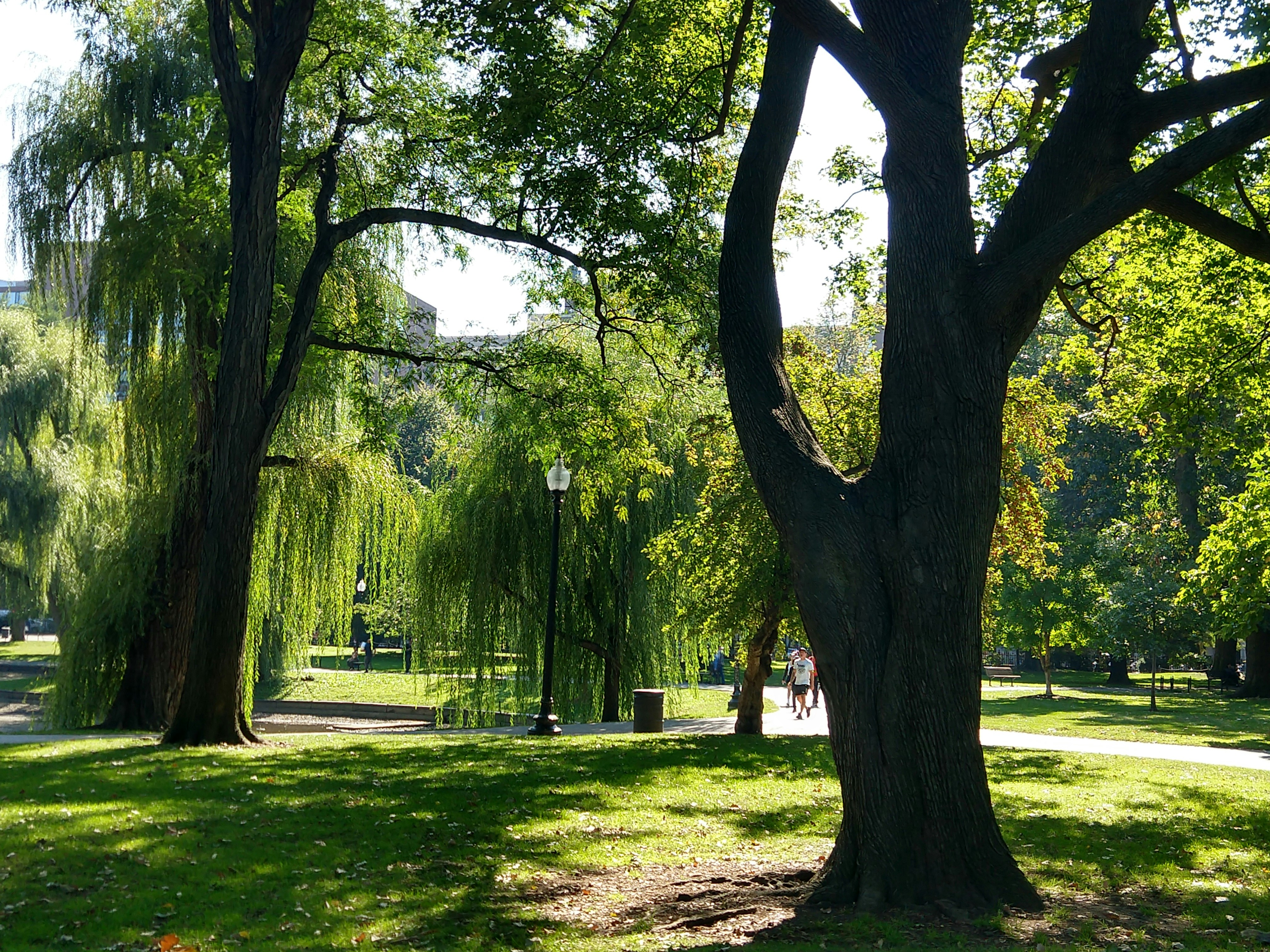 Photo by garnicanetwork