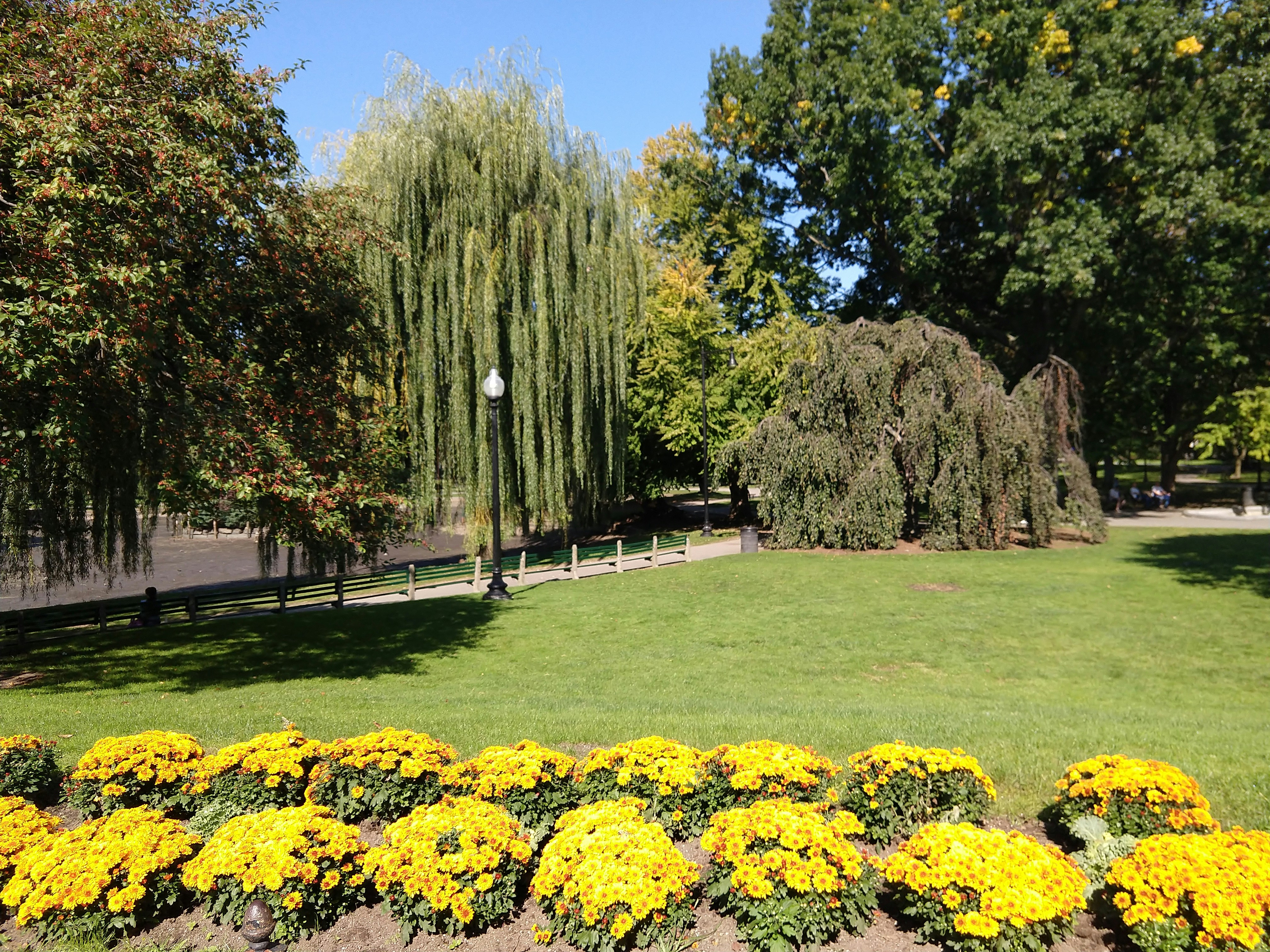 Photo by garnicanetwork