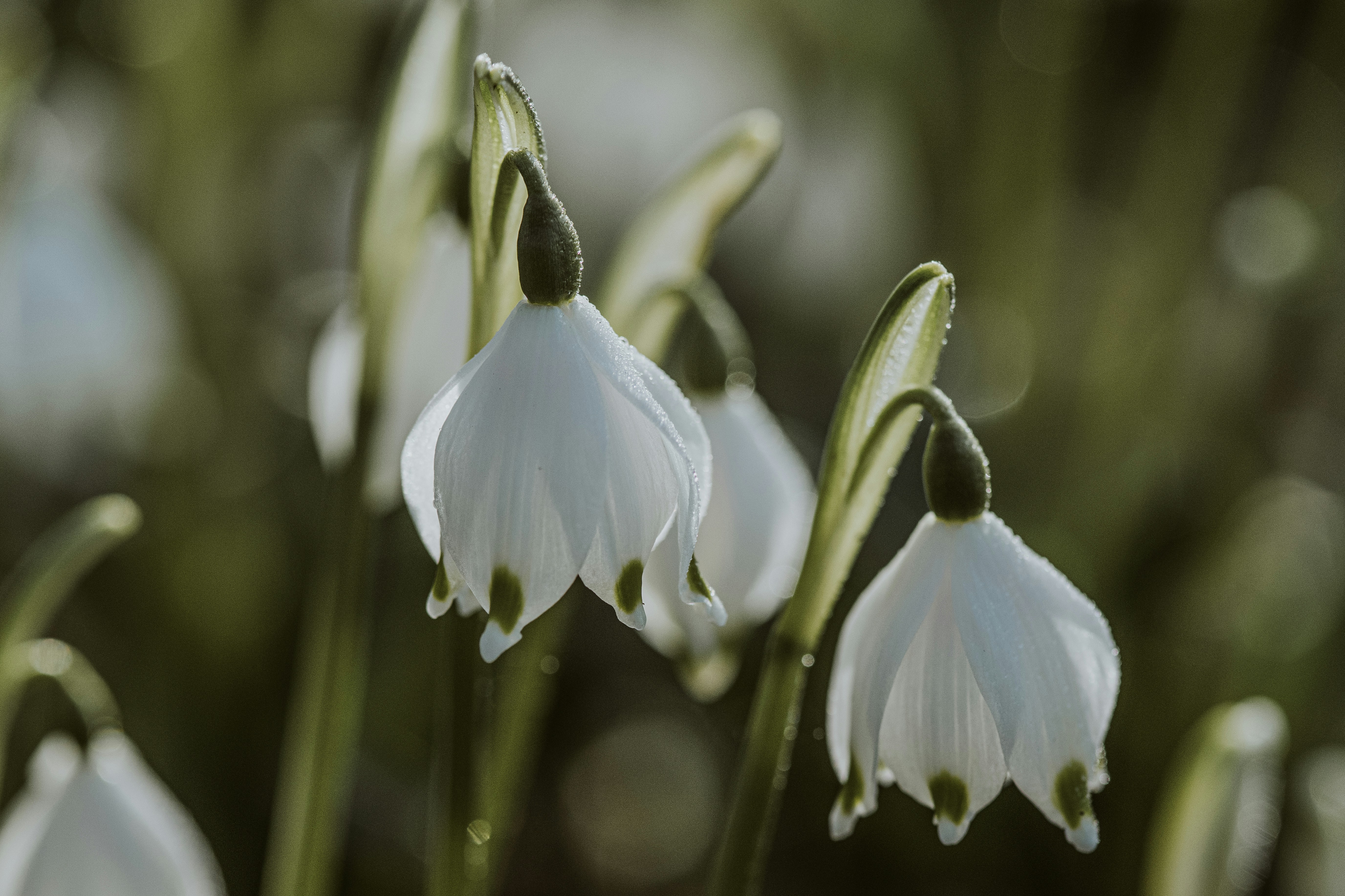 Photo by anitaaustvika