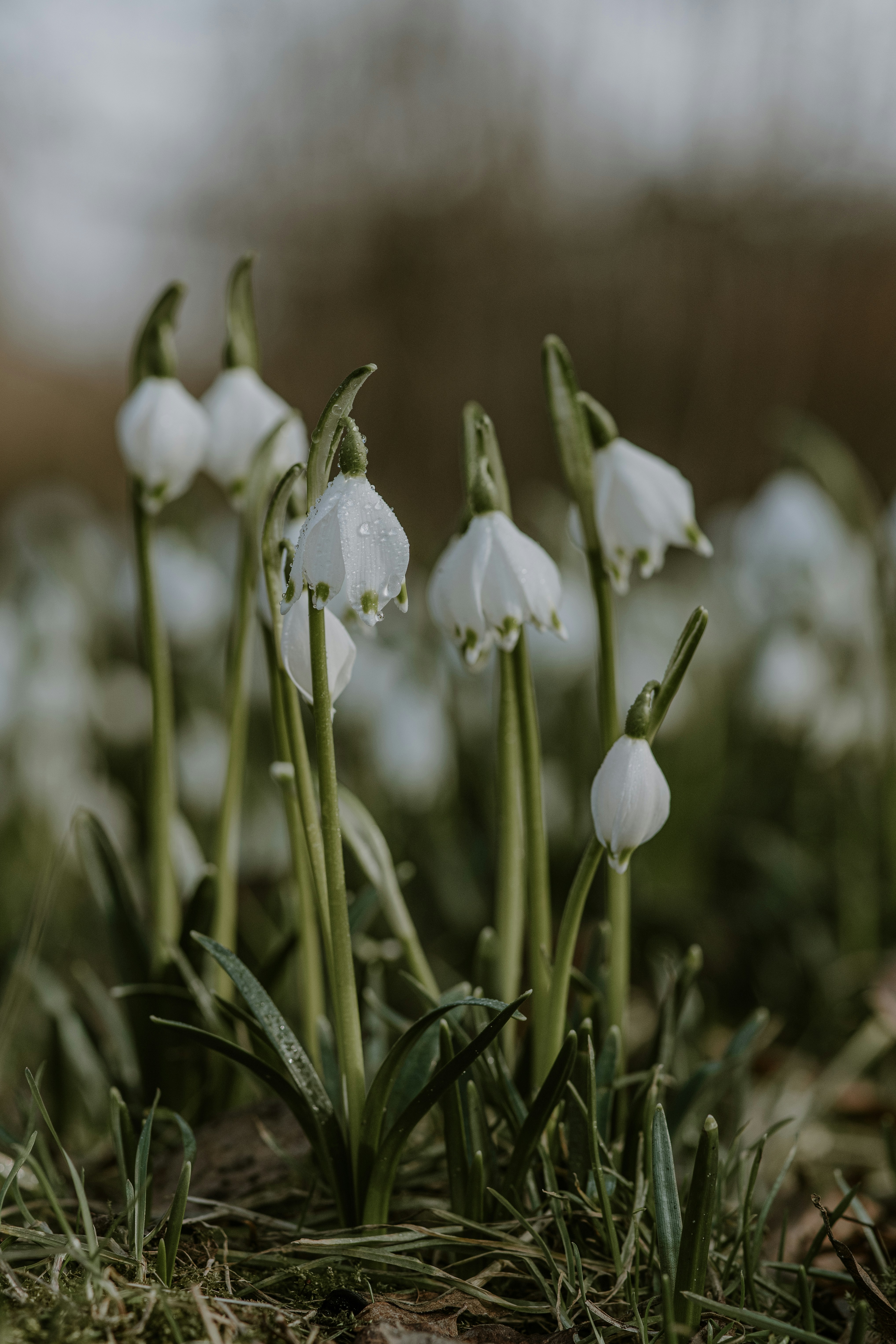 Photo by anitaaustvika