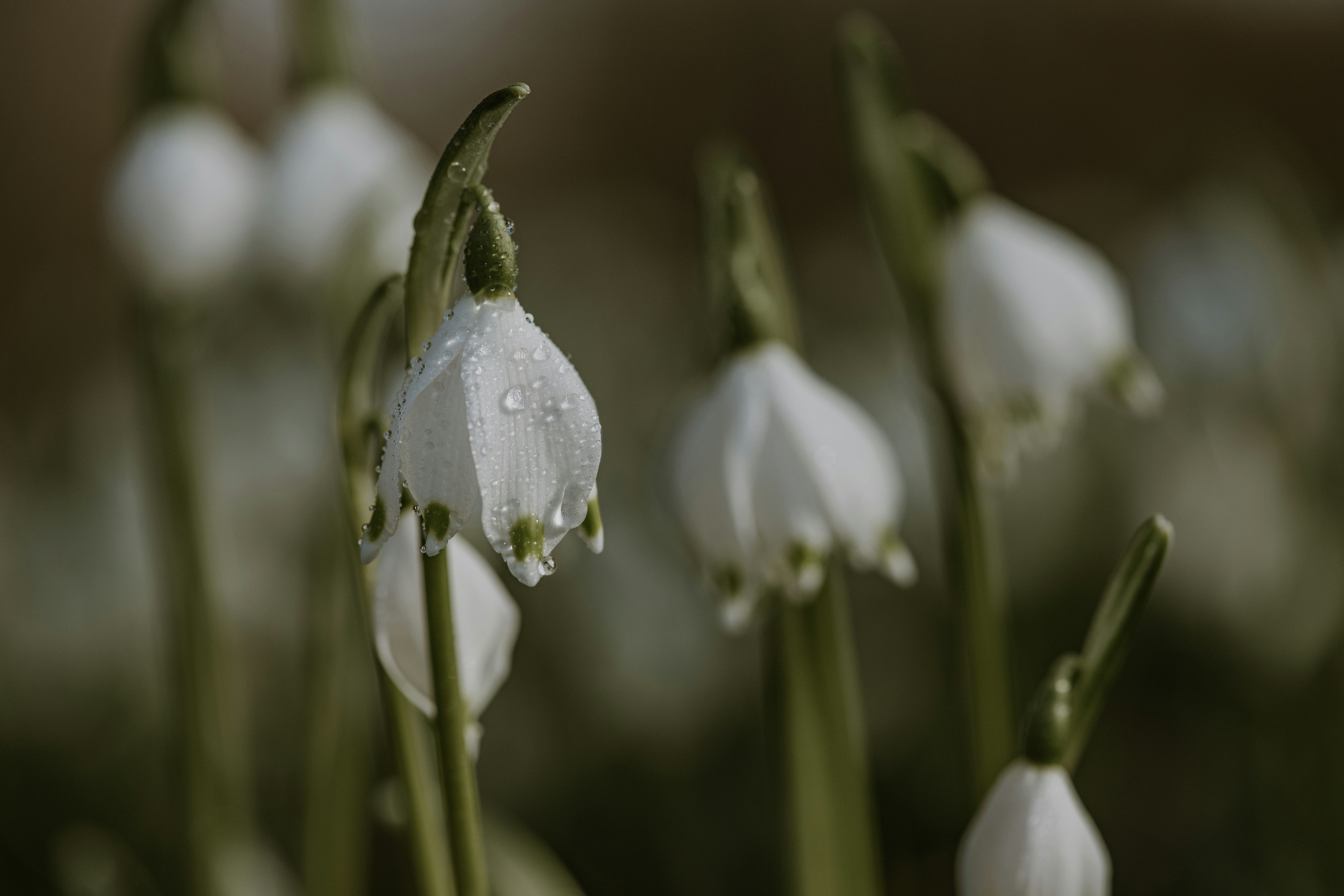 Photo by anitaaustvika