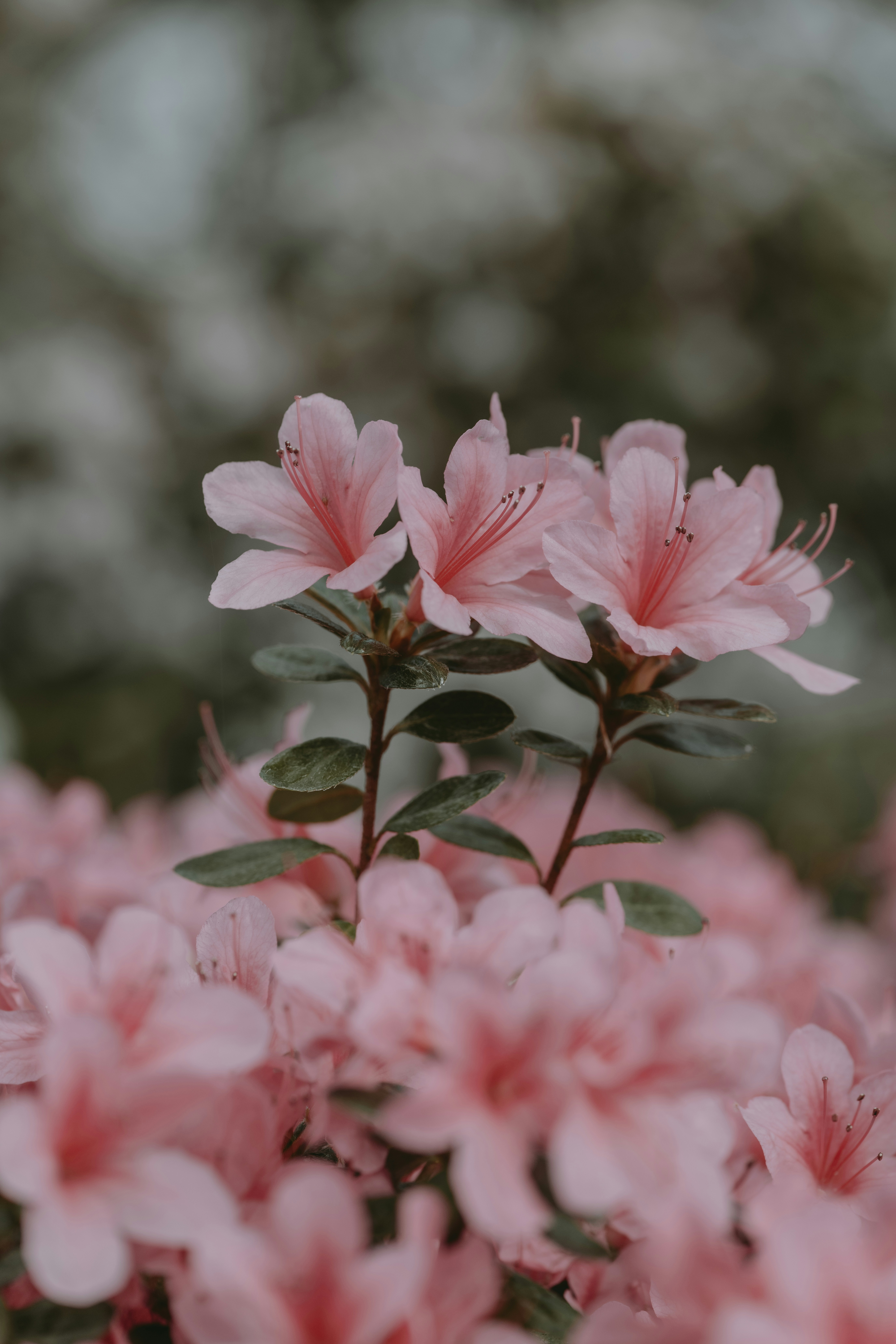 Photo by anitaaustvika