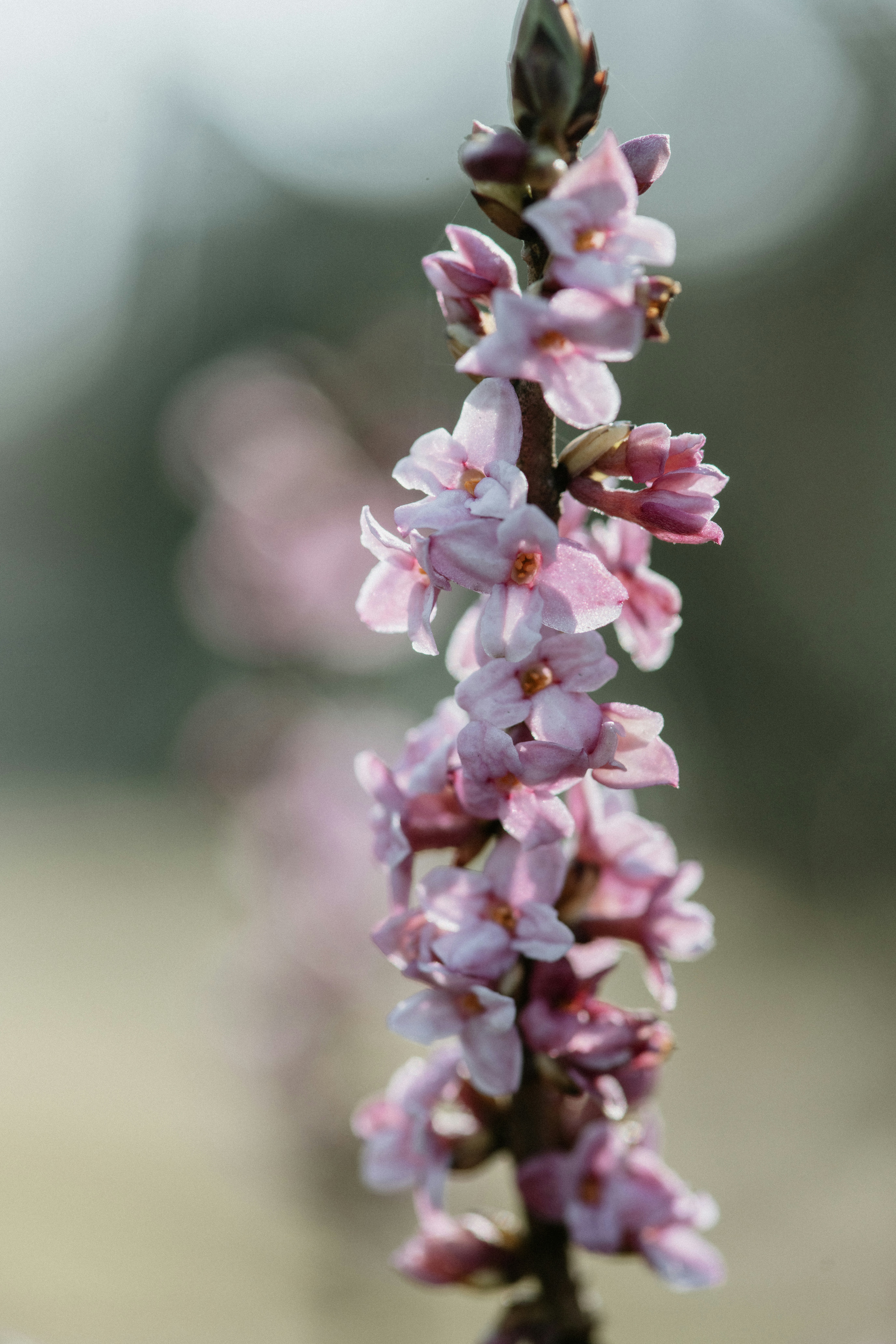 Photo by anitaaustvika