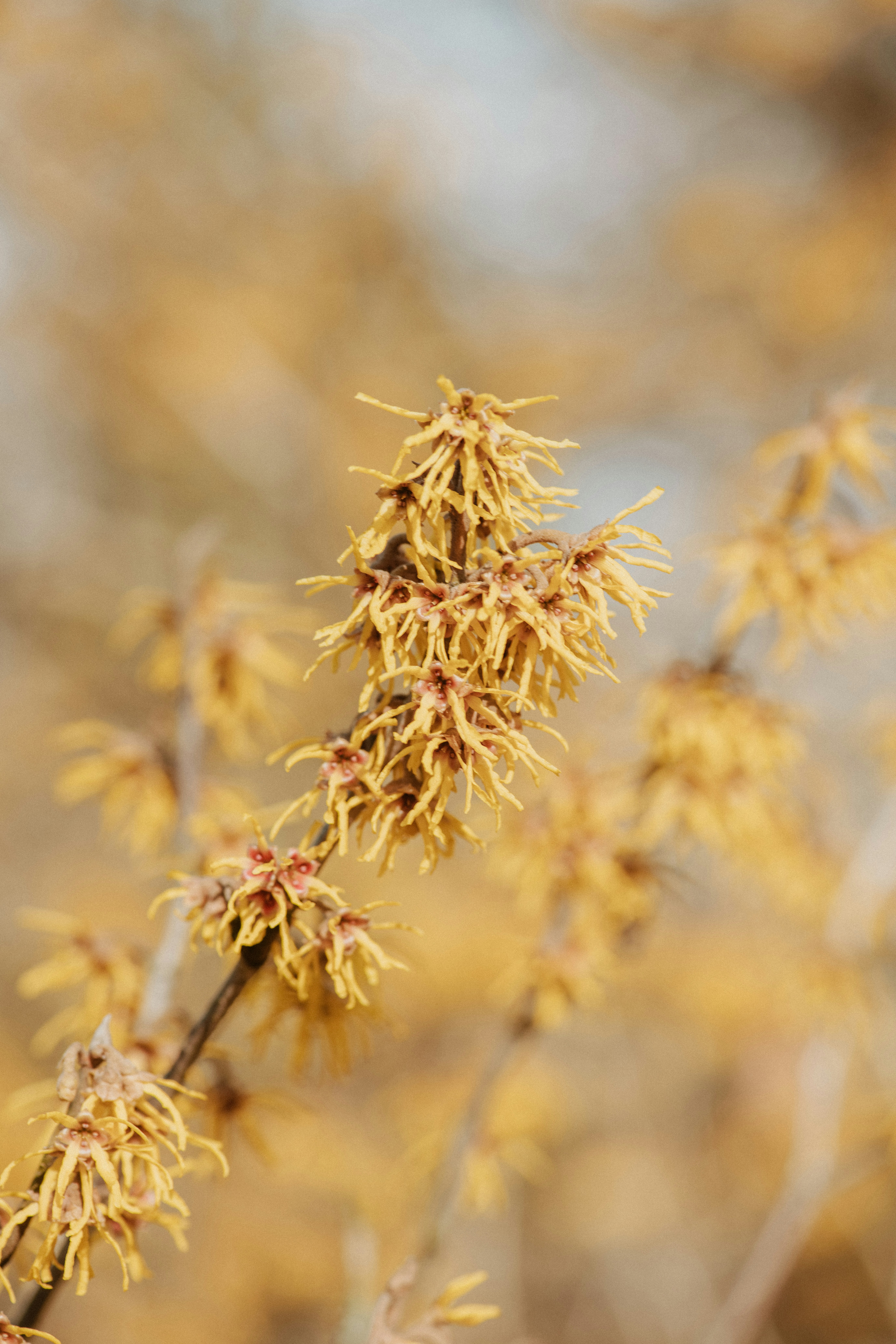 Photo by anitaaustvika