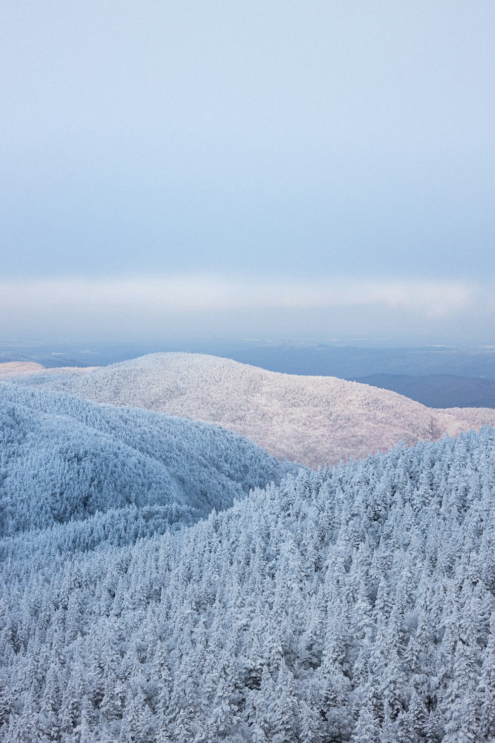 uma vista de uma montanha nevada com árvores em primeiro plano