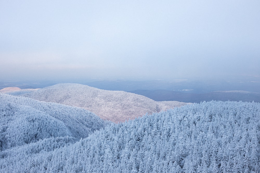 a view of a snowy mountain with trees in the foreground