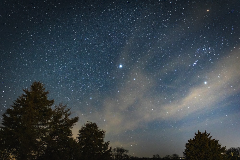 the night sky with stars and trees in the foreground