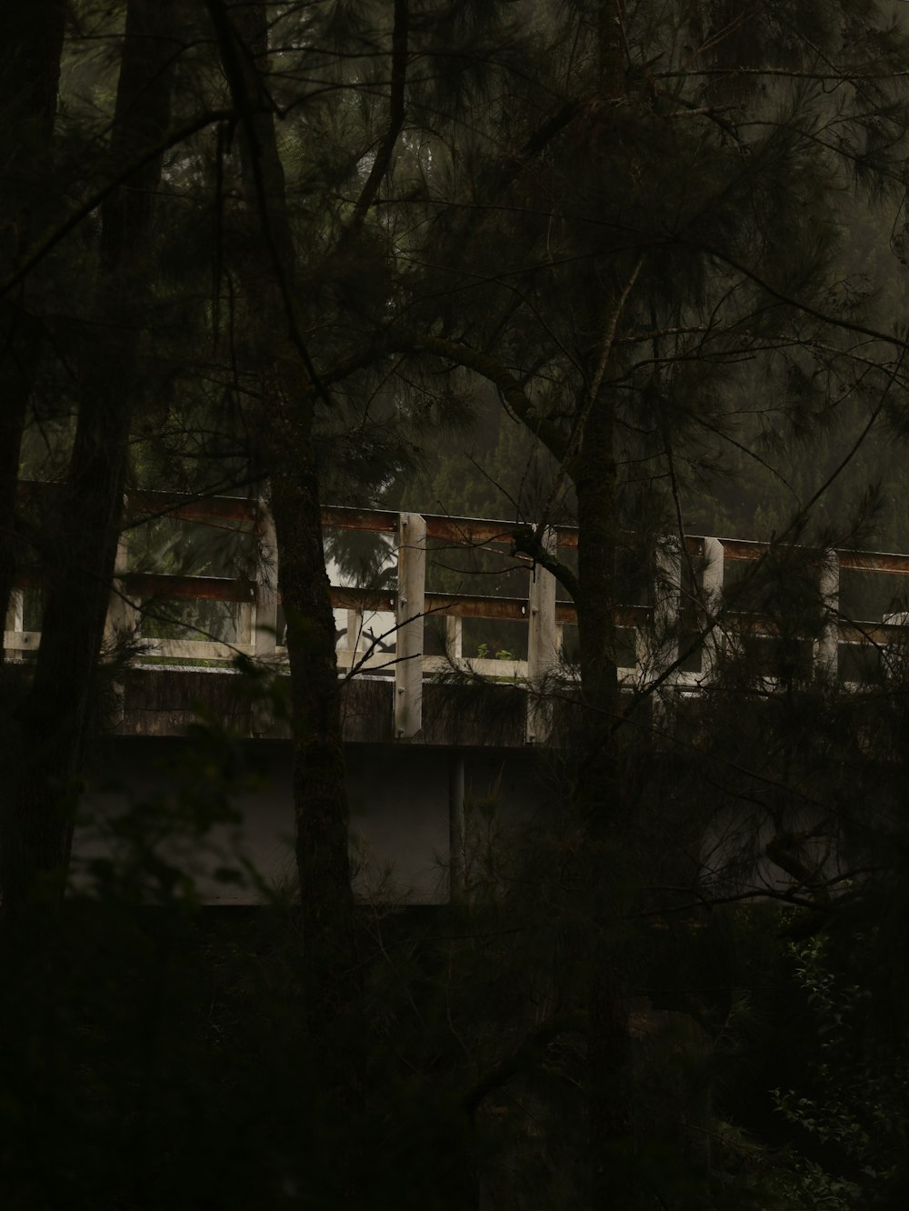 a bridge over a river with trees in the foreground