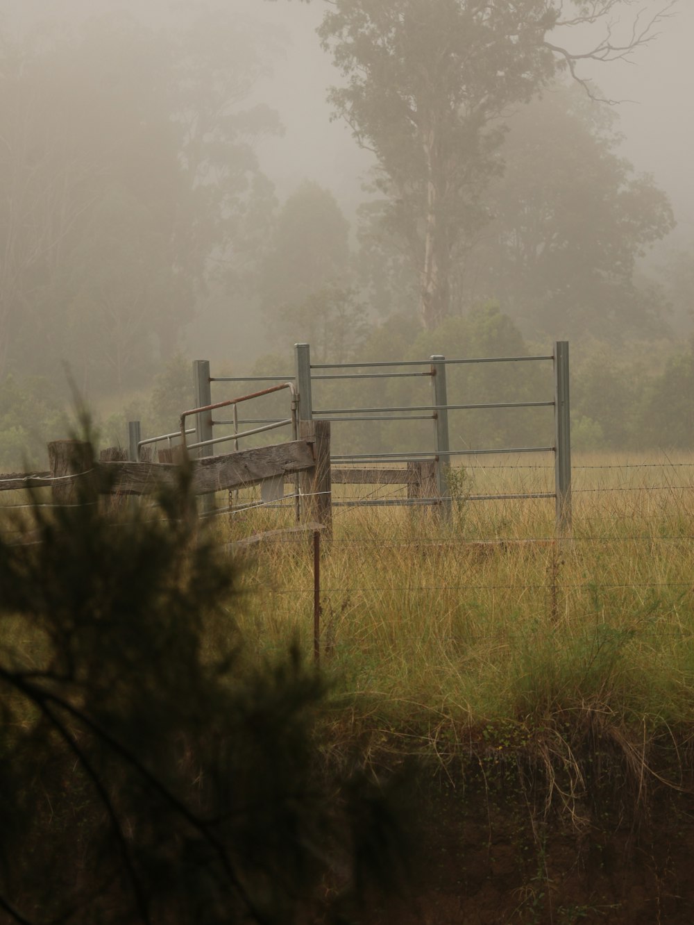 a horse standing in a foggy field next to a fence