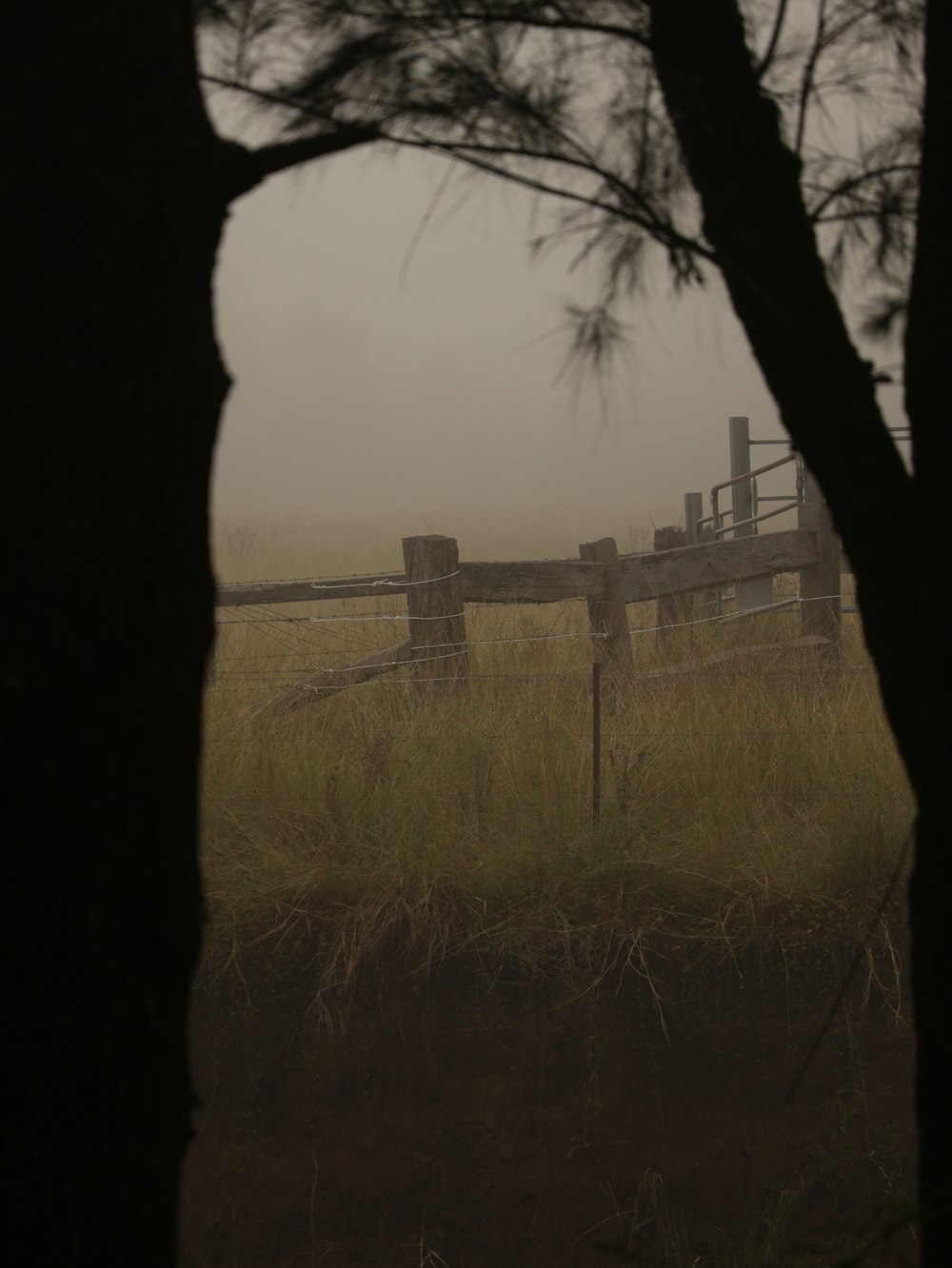 a foggy field with a fence and trees