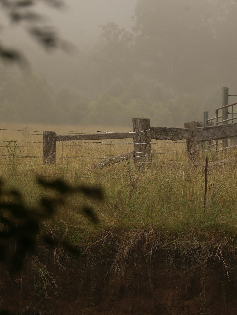 a horse standing in a field behind a fence