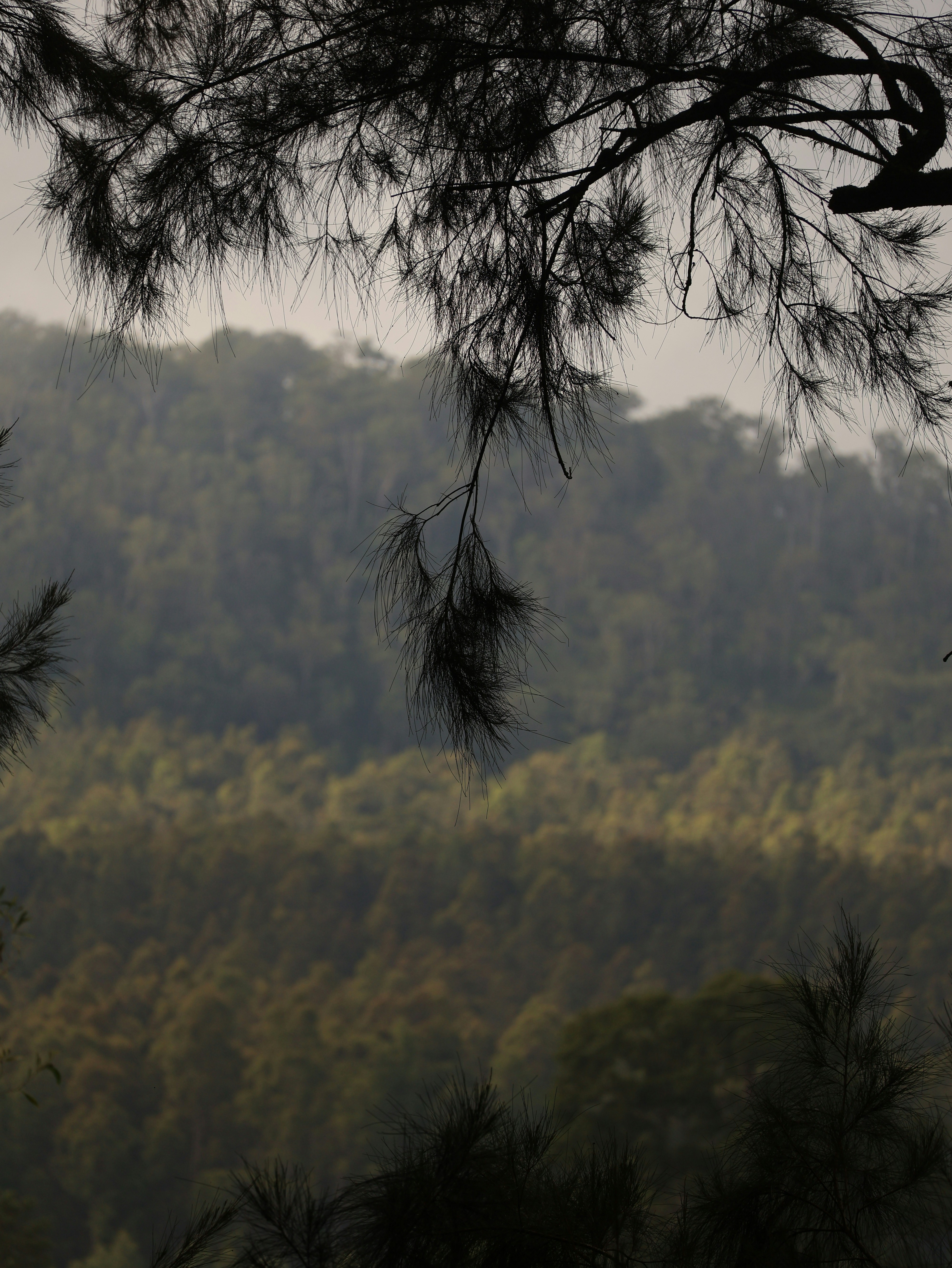 Photo by unsealmyname