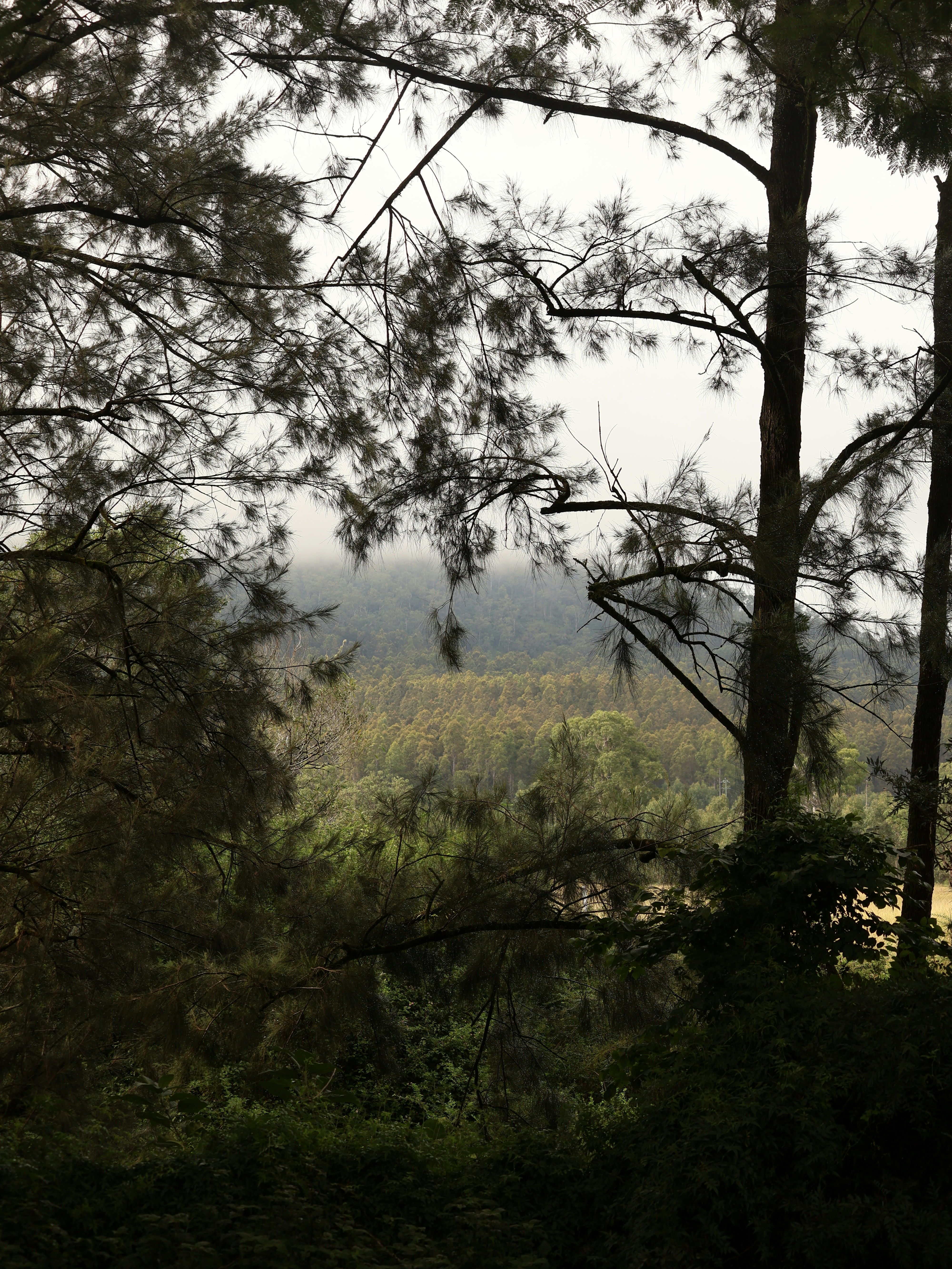 Photo by unsealmyname