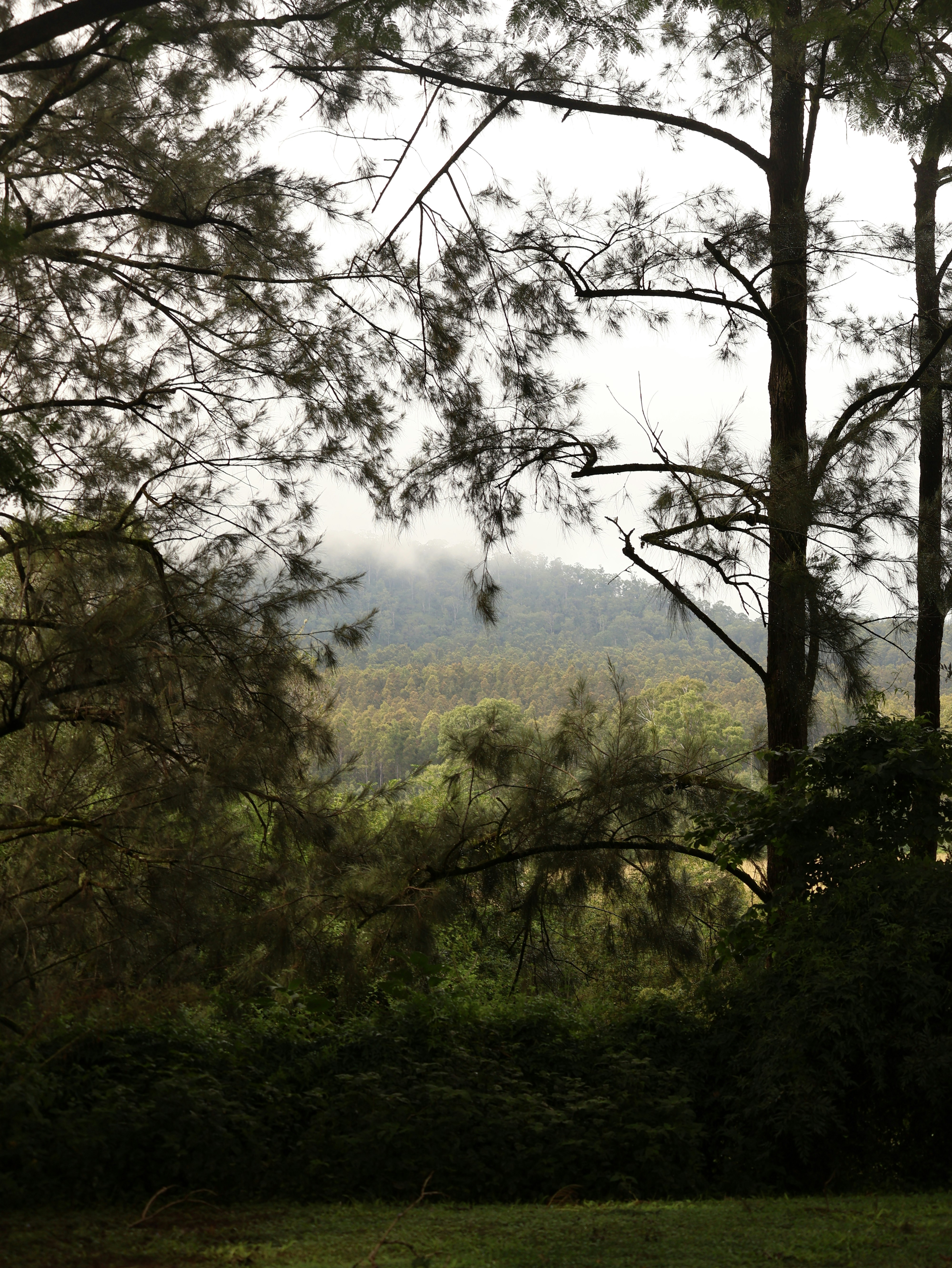 Photo by unsealmyname