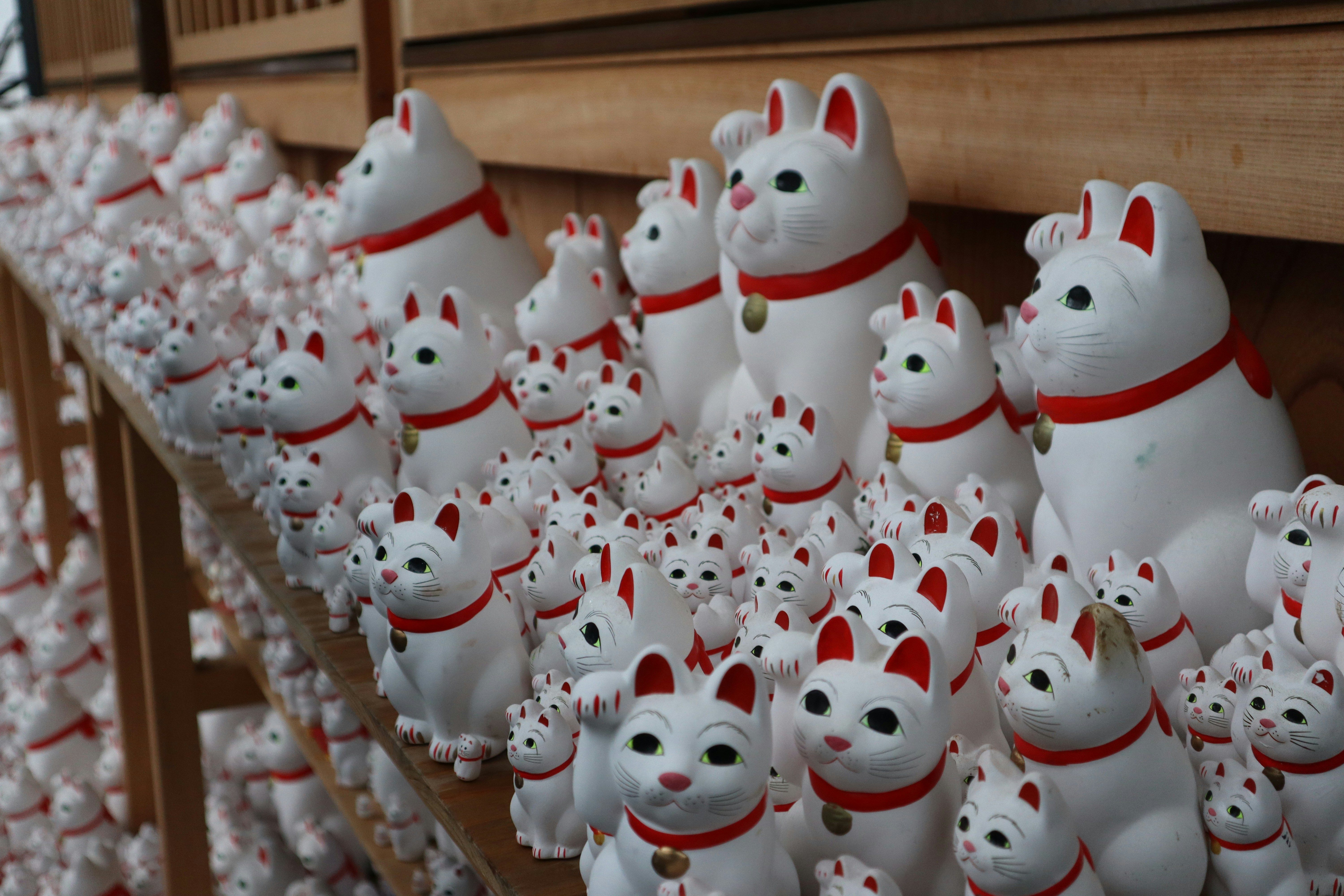 Photo by weenstern_sg