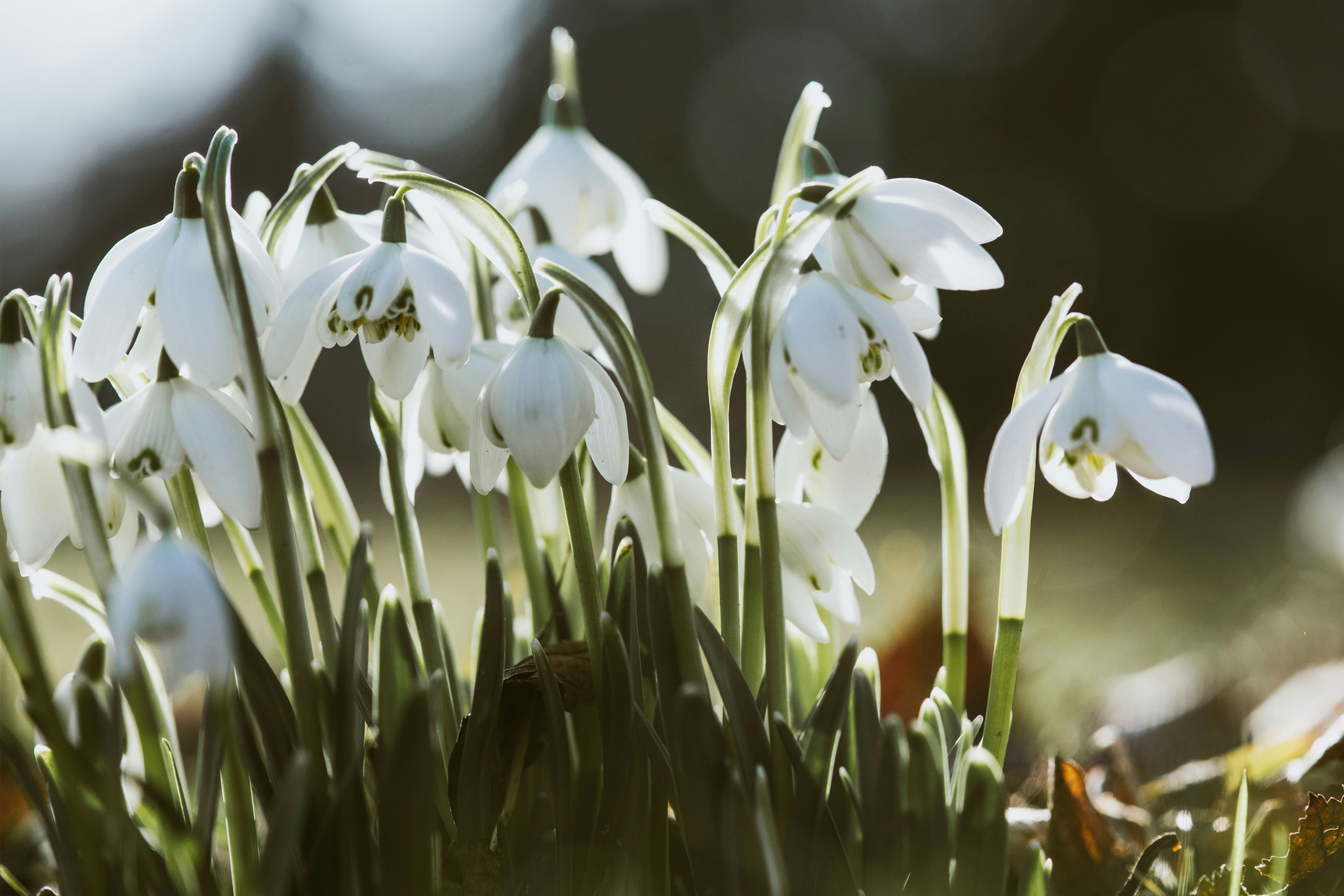 Photo by anitaaustvika