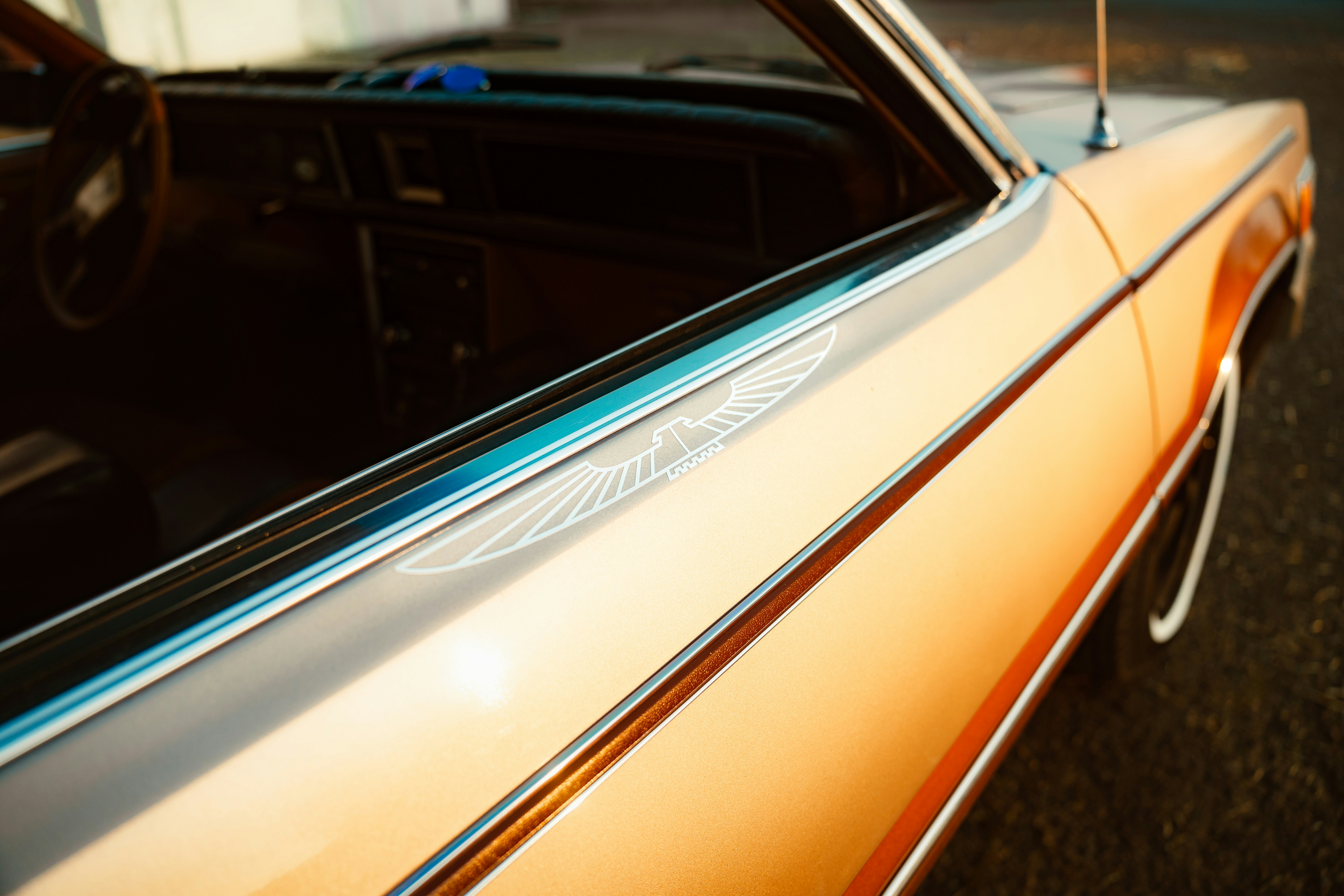 Photo by venajeborec