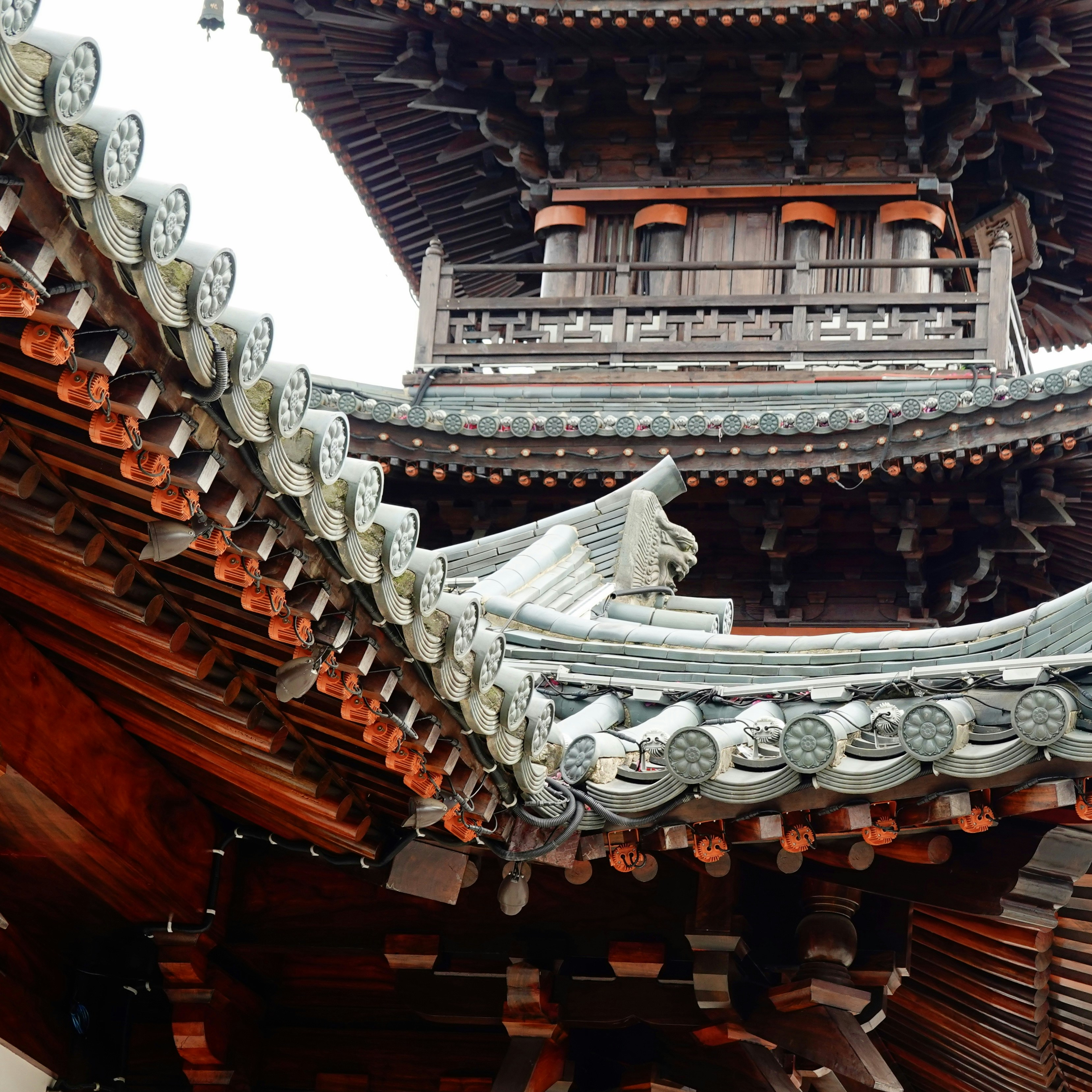 Photo by cardia_gong