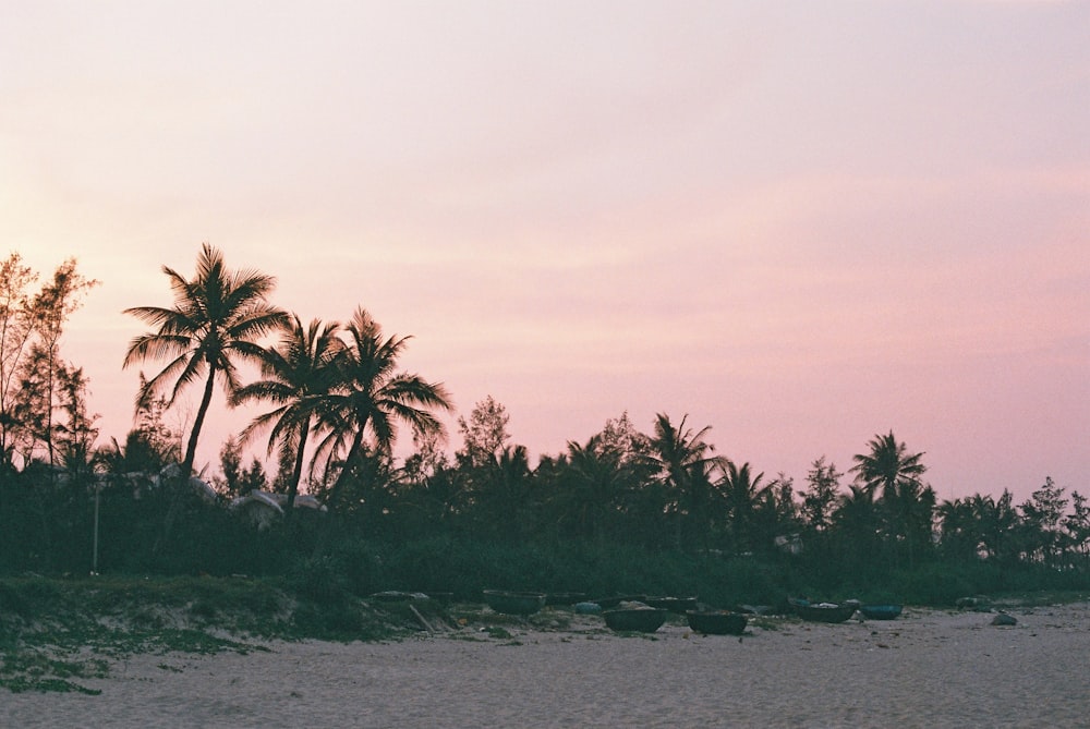 a beach with palm trees and a pink sky