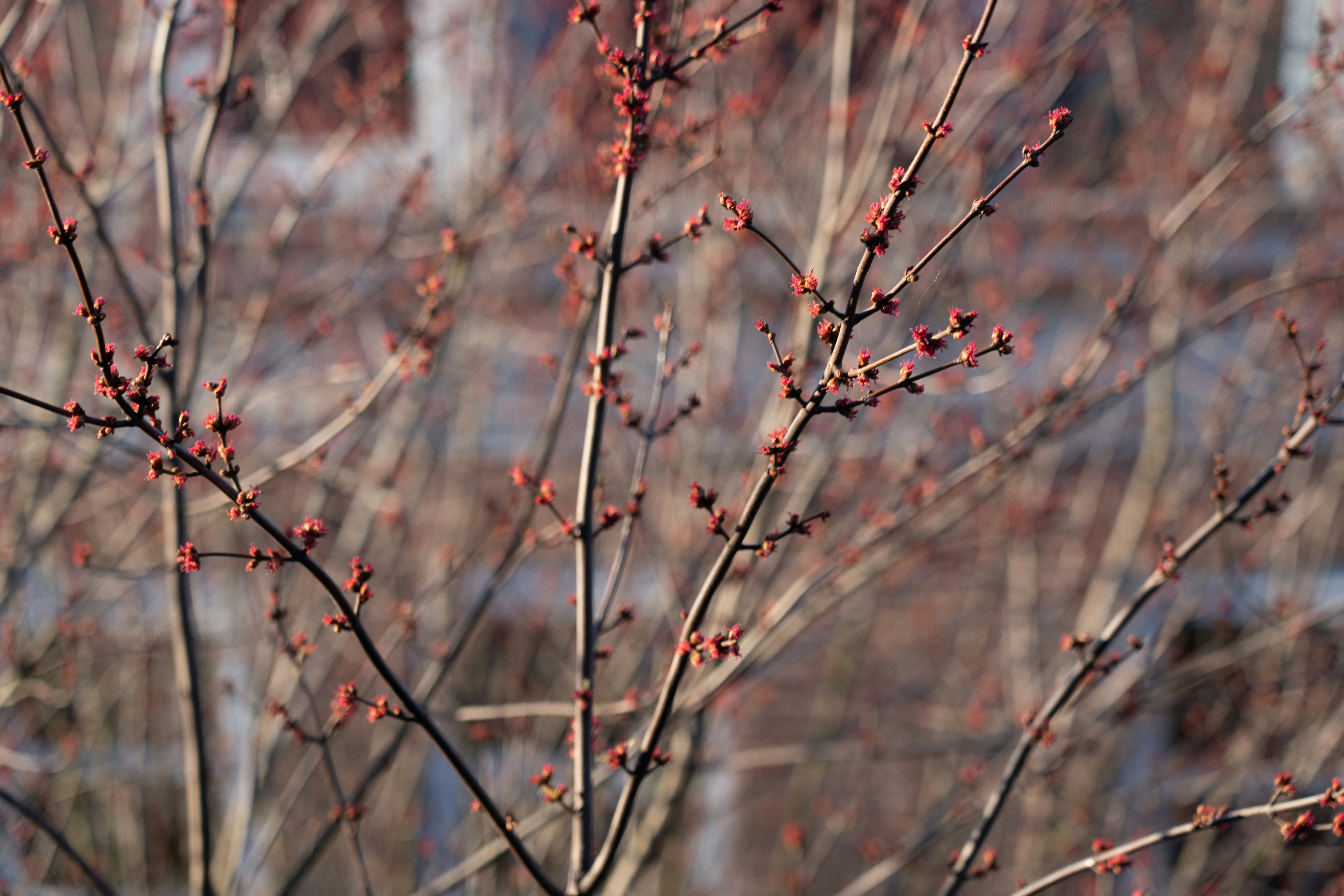 Photo by ggfotografie