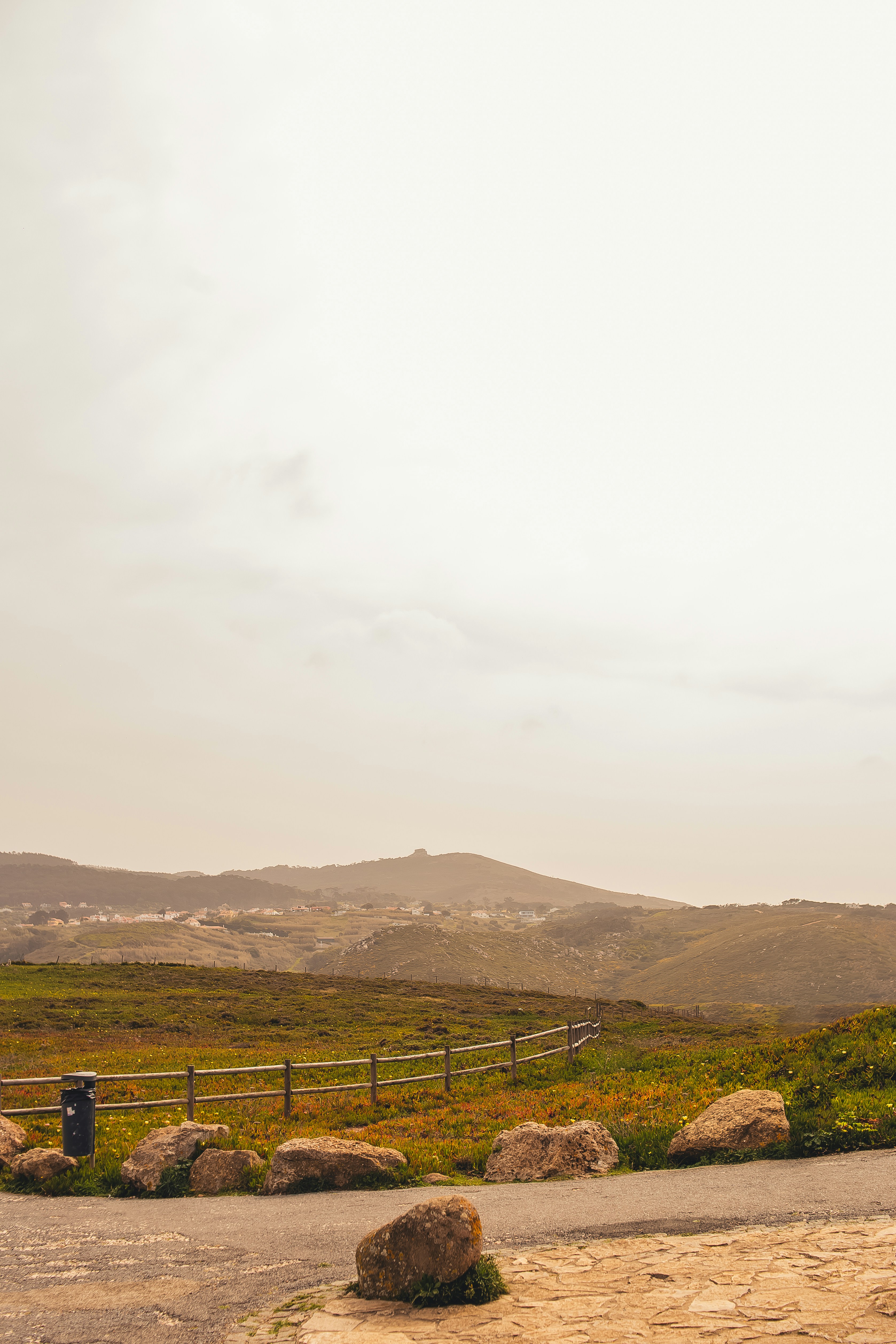 a couple of sheep standing on top of a lush green hillside